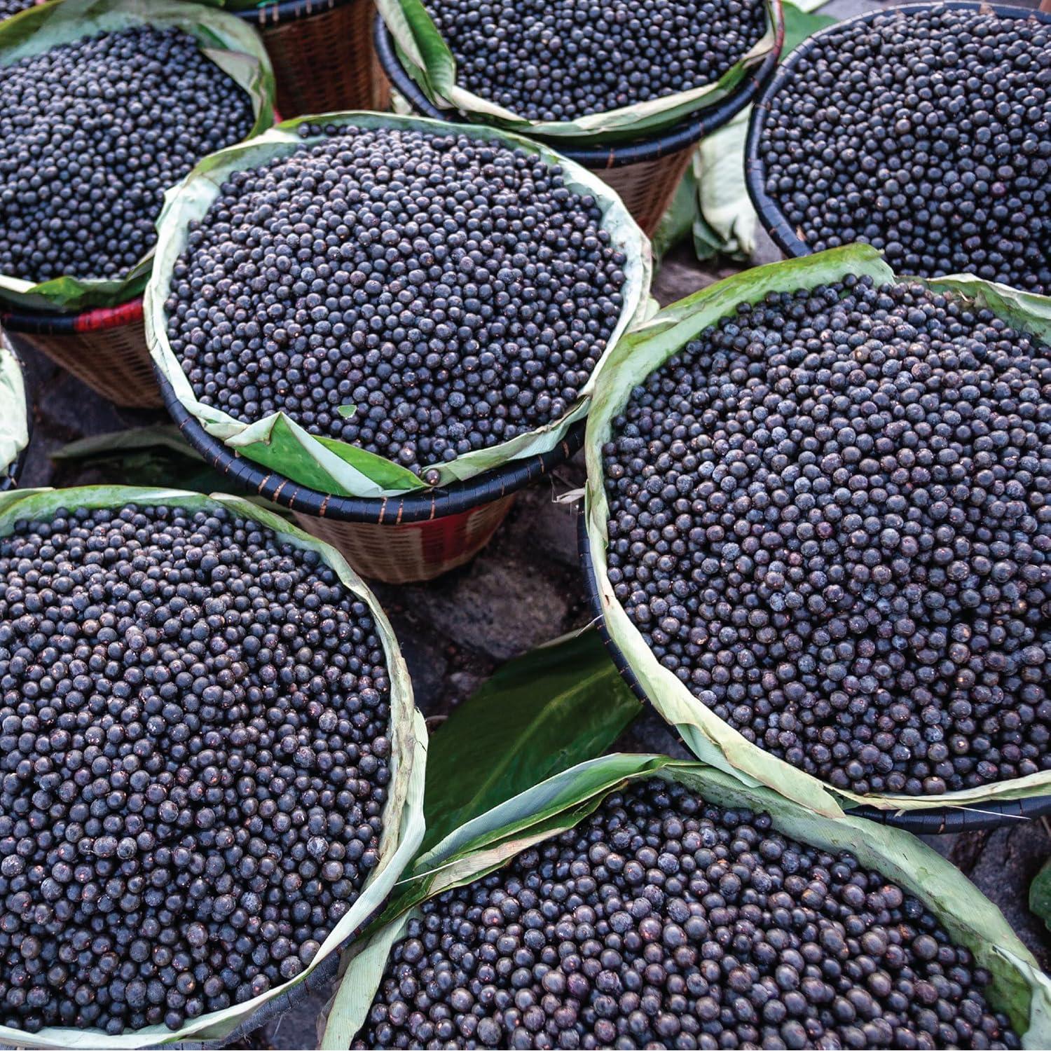 Polvo de Acai Orgánico Liofilizado Wilderness Poets 454g