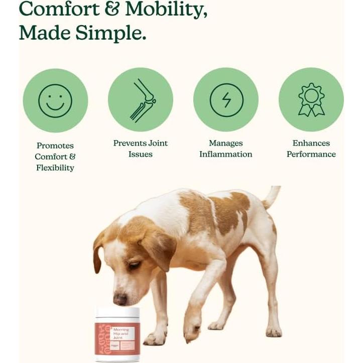 Suplemento Articulaciones Perros Reggie 60 Masticables 150g