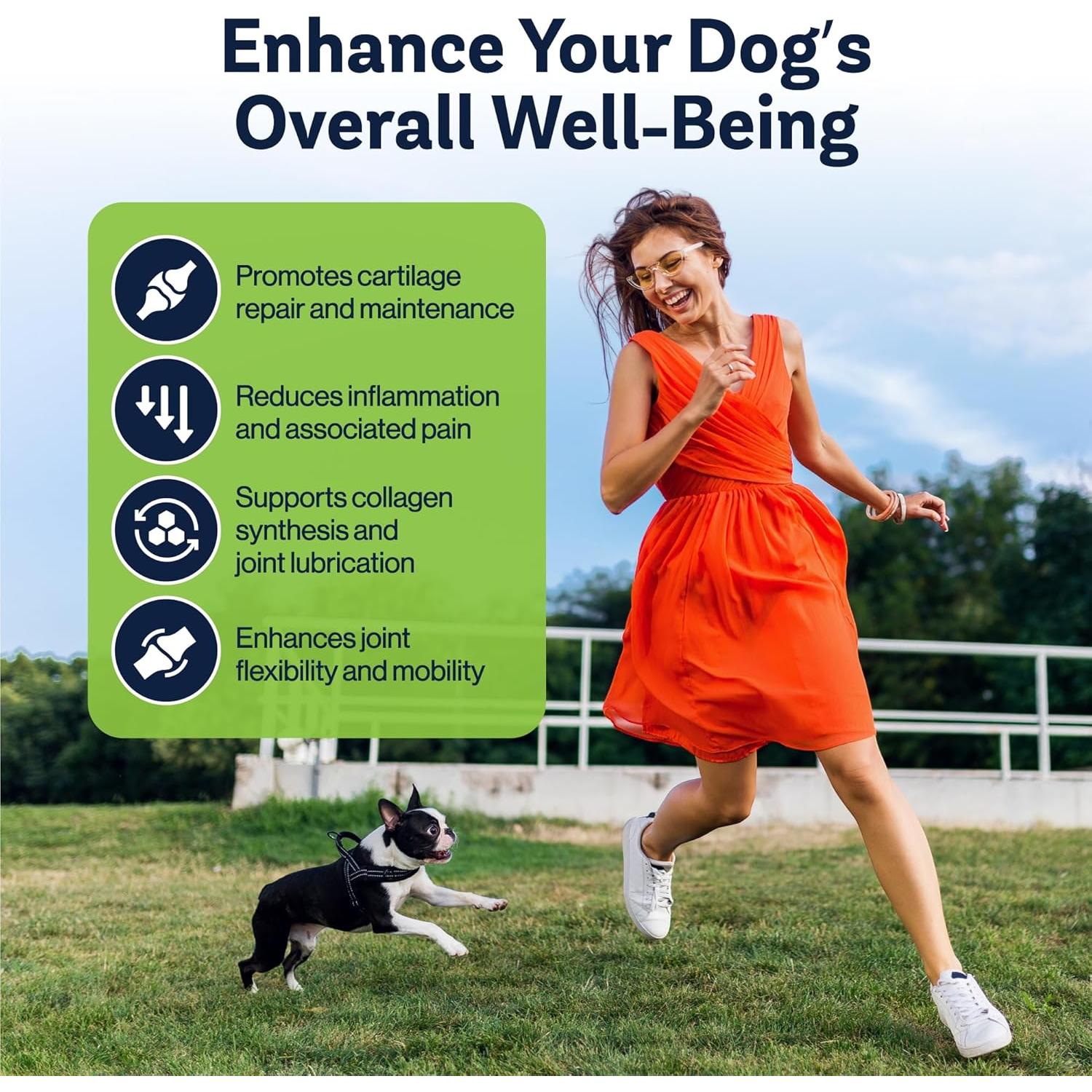 Suplemento Articular LVL Up Pup para Perros Mayores - Glucosamina y Condroitina