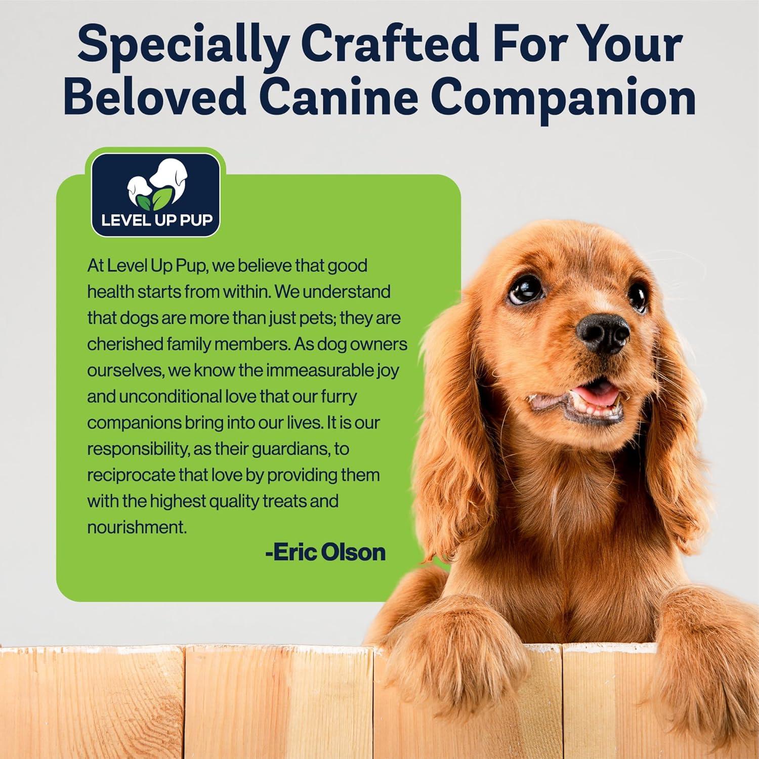 Suplemento Articular LVL Up Pup para Perros Mayores - Glucosamina y Condroitina