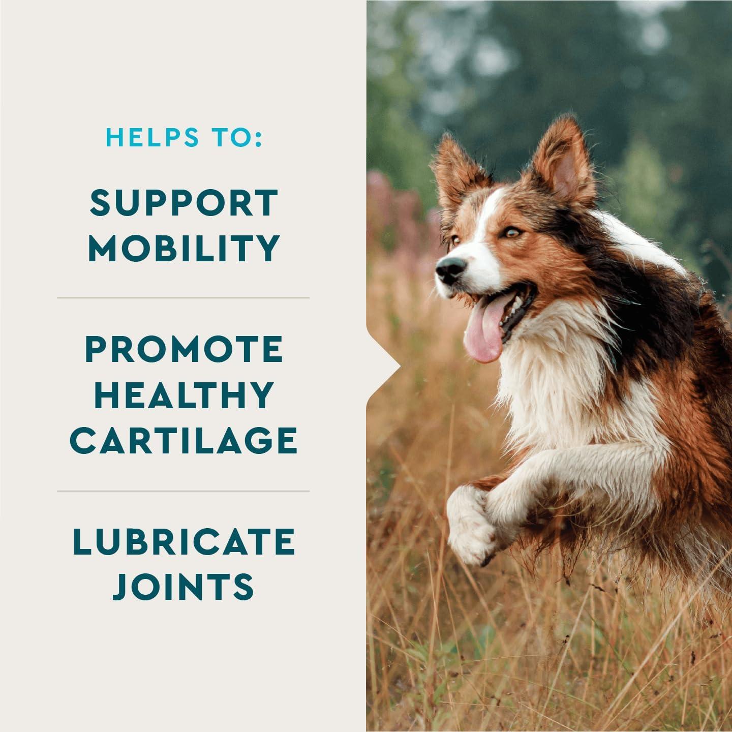 Suplemento Articular VetIQ para Perros 60 Tabletas Masticables