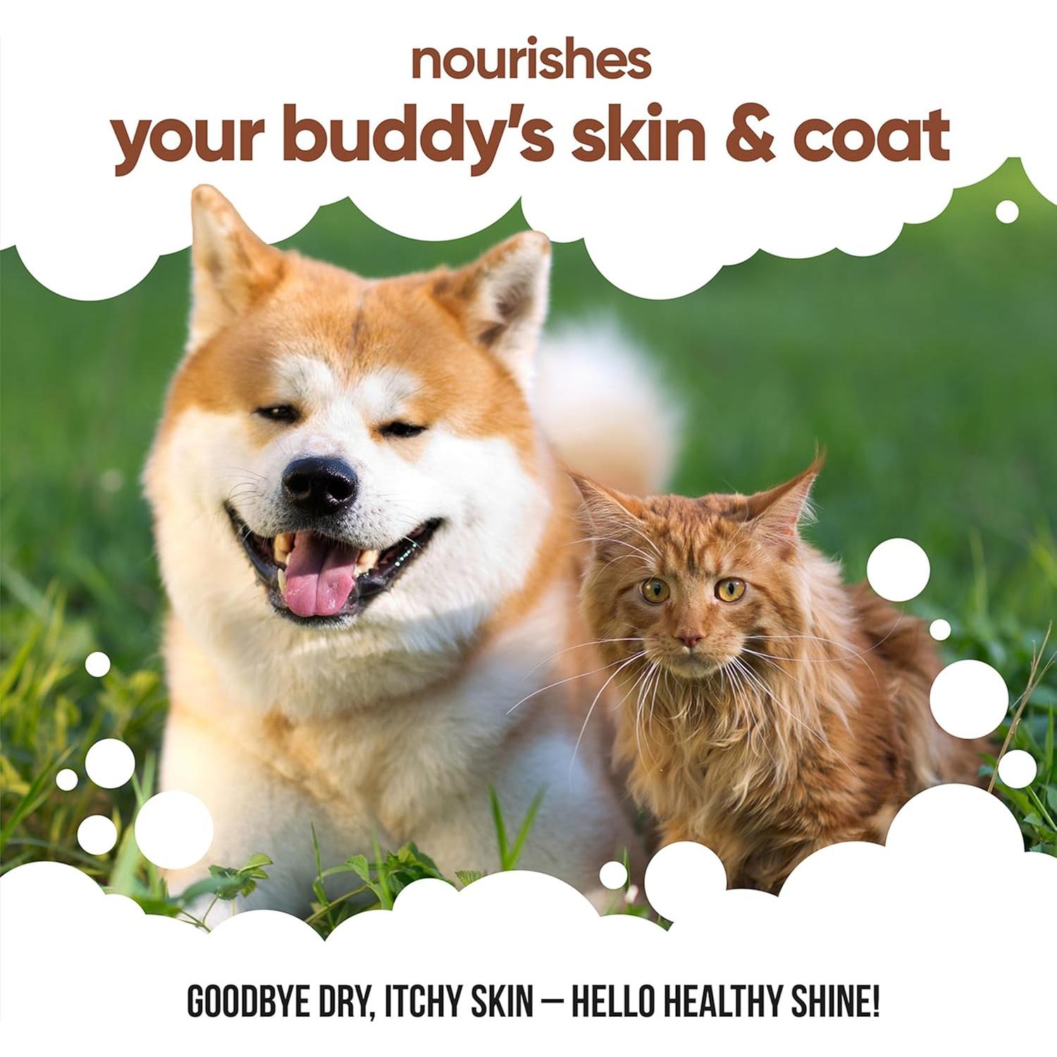 Aceite de Semilla de Lino Buddycare 500 ml - Suplemento para Perros