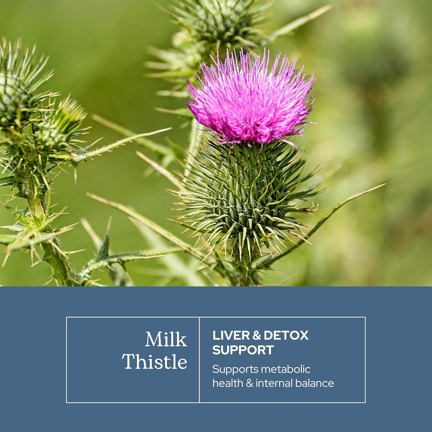 Cápsulas de Cardo Mariano Eclectic Herb 120 CT - 600 mg