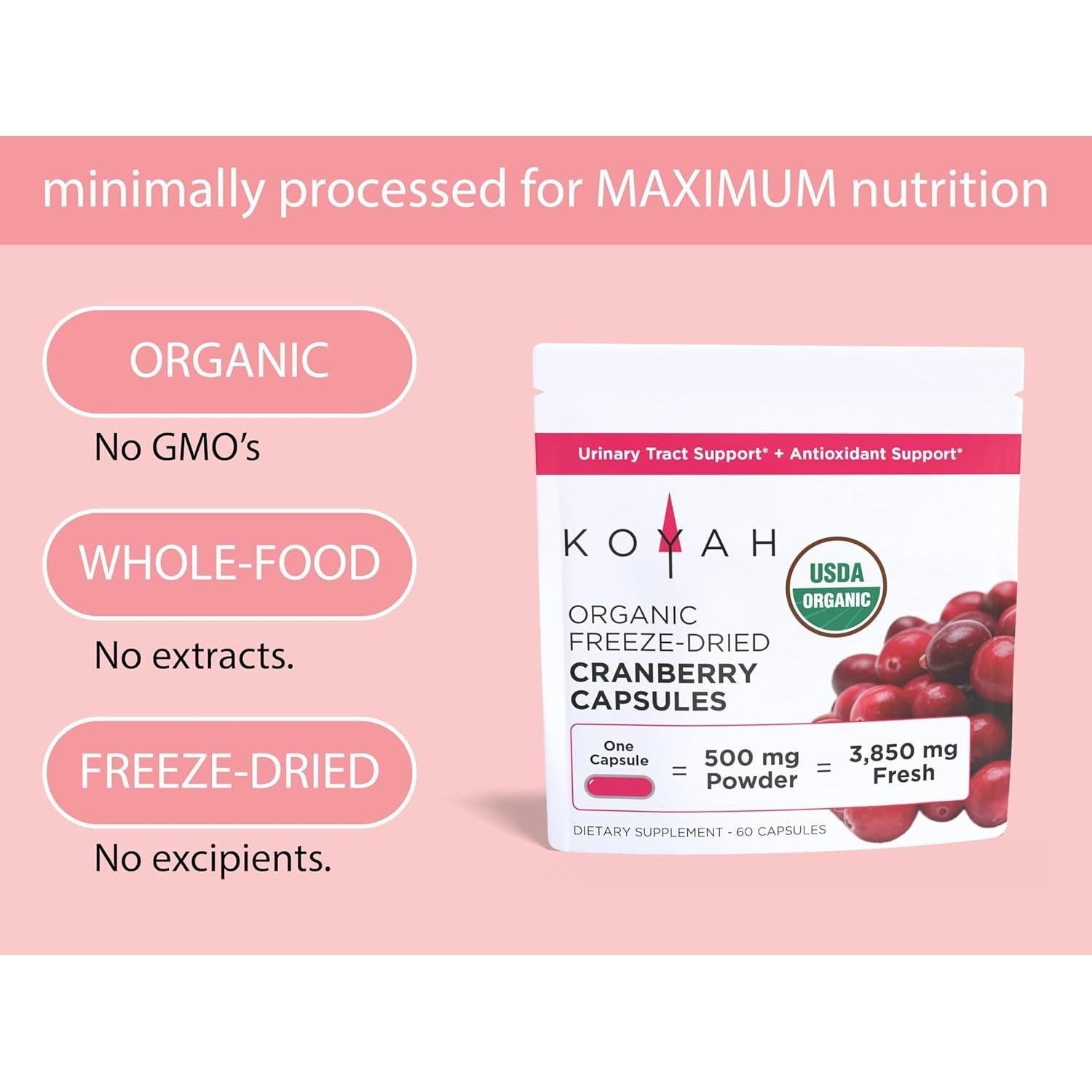 Cápsulas de Arándano Orgánico KOYAH 500 mg - 60 Unidades