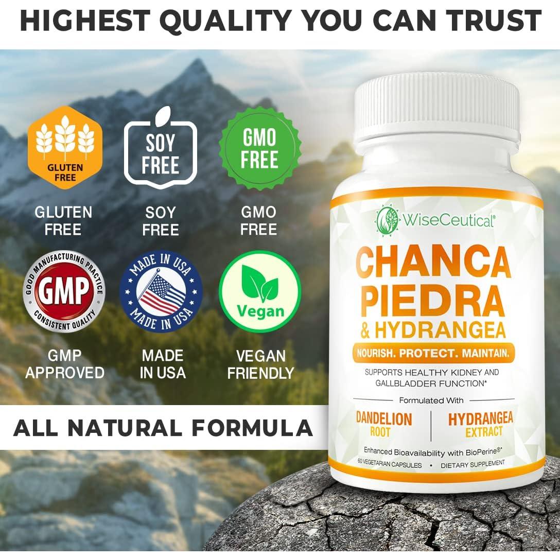 Suplemento Vegano Intestino y Riñones Wiseceutical 120 Cápsulas