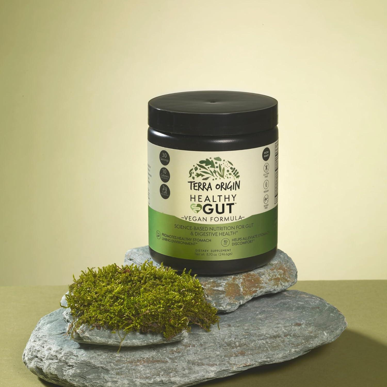 Suplemento Intestinal Saludable Terra Origin 246g - Vegano