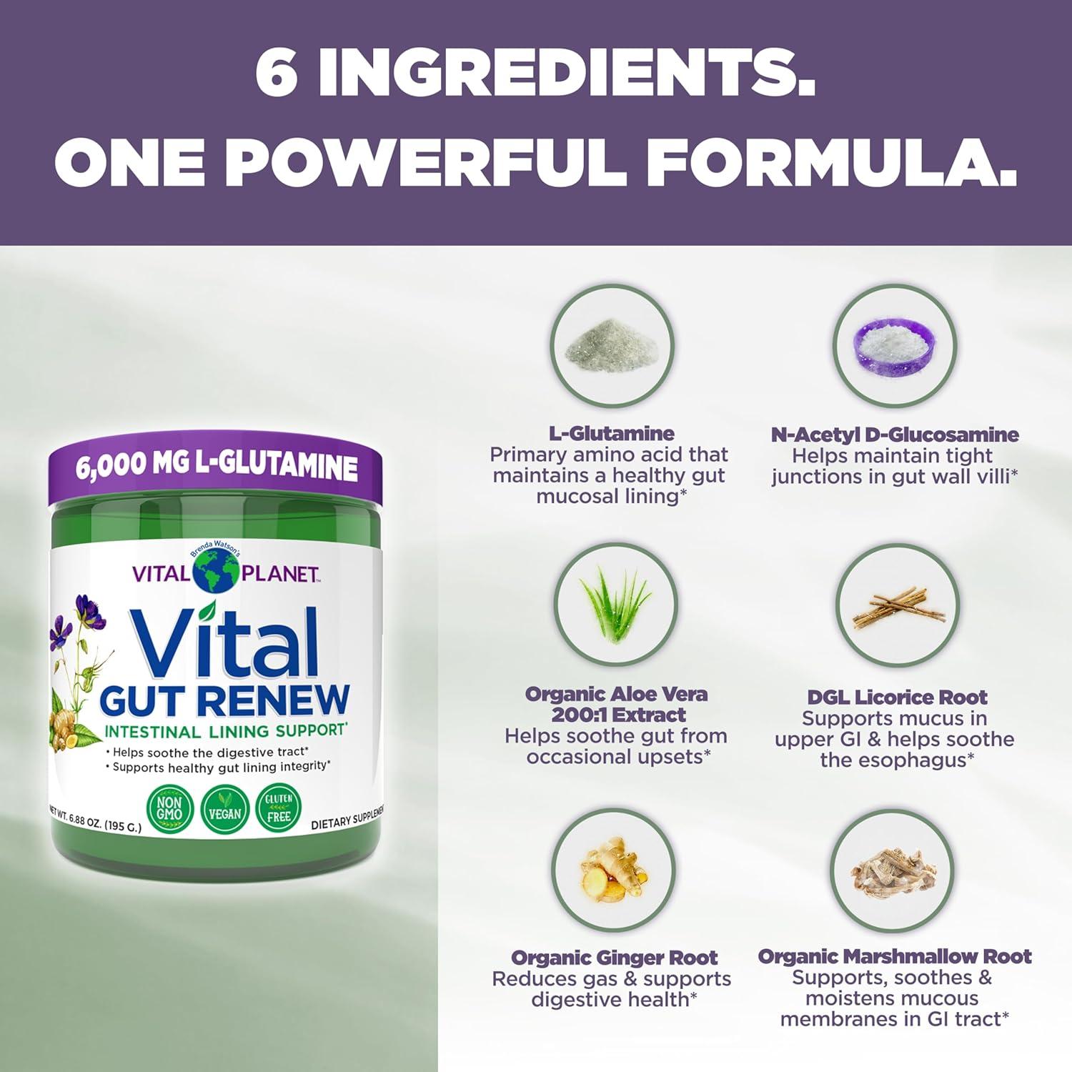 Vital Planet Vital Gut Renew 195g - Suplemento Intestinal