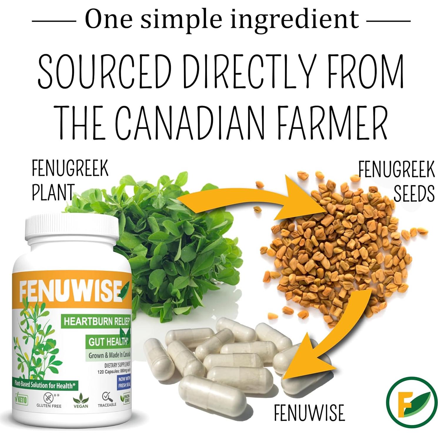 Suplemento de Fibra de Fenogreco Fenuwise 120 Cápsulas Vegano