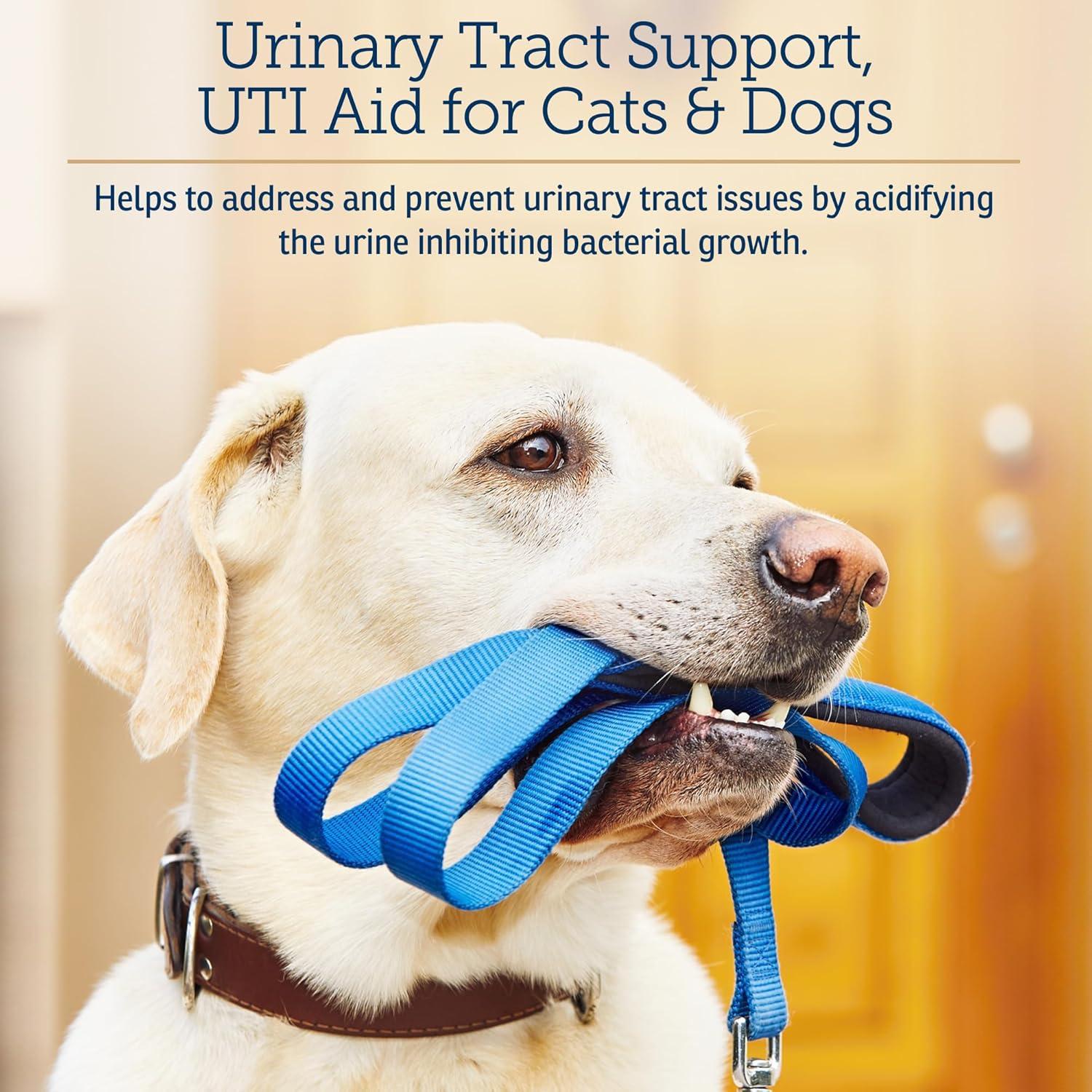 Cápsulas de Arándano Rx Vitamins - Suplemento Urinario 90 Unidades