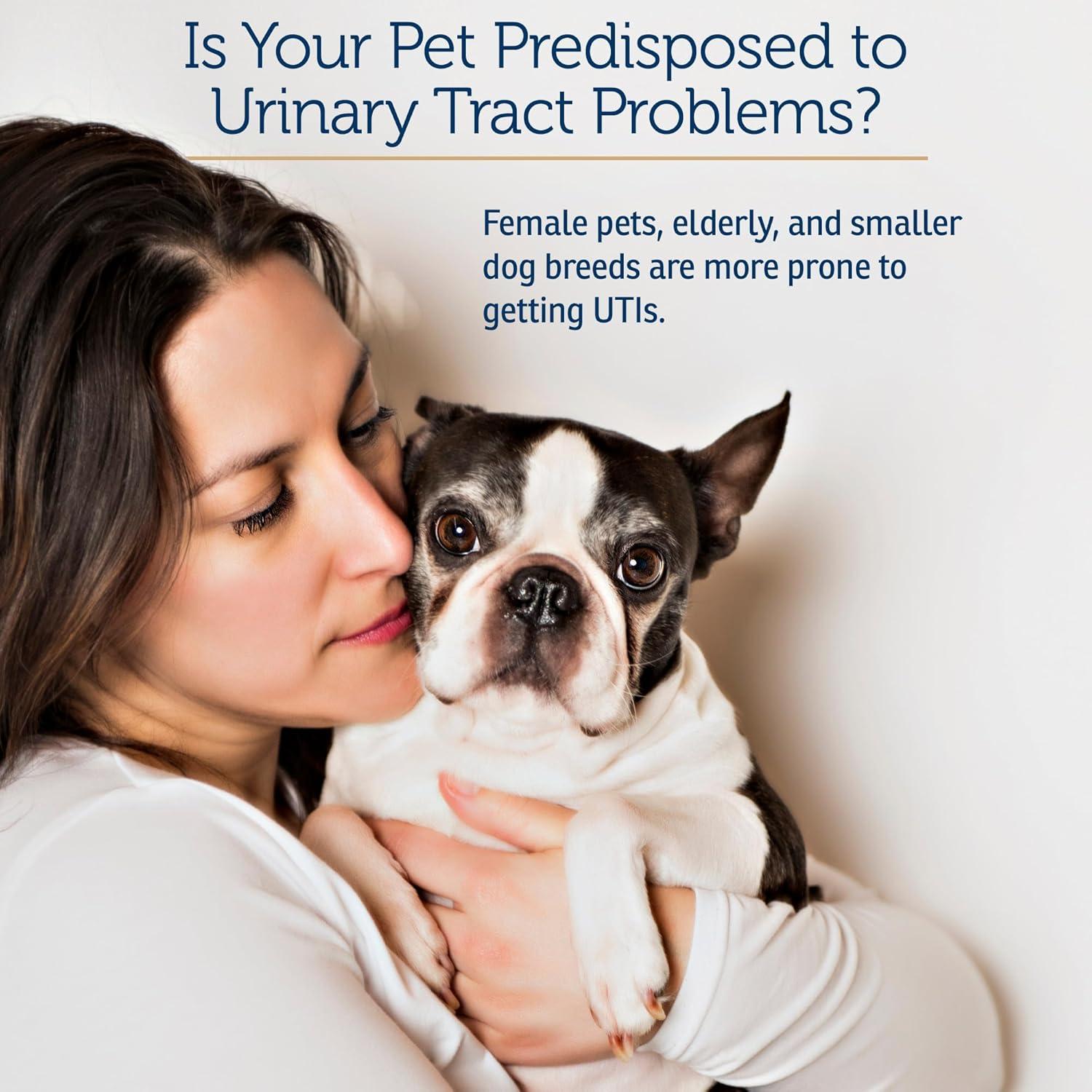 Cápsulas de Arándano Rx Vitamins - Suplemento Urinario 90 Unidades