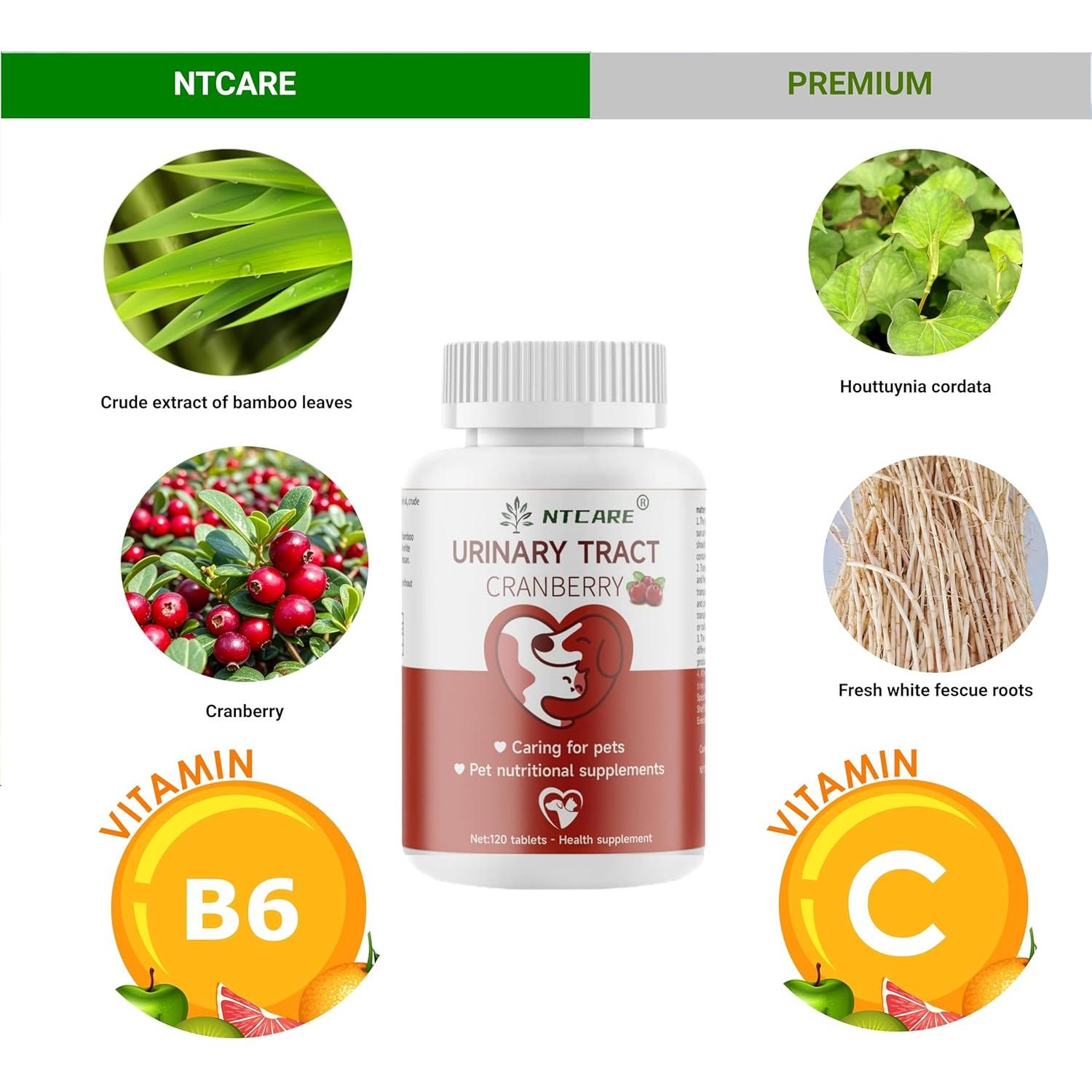 Suplemento Arándano para Perros y Gatos NTCARE 120 Tabletas