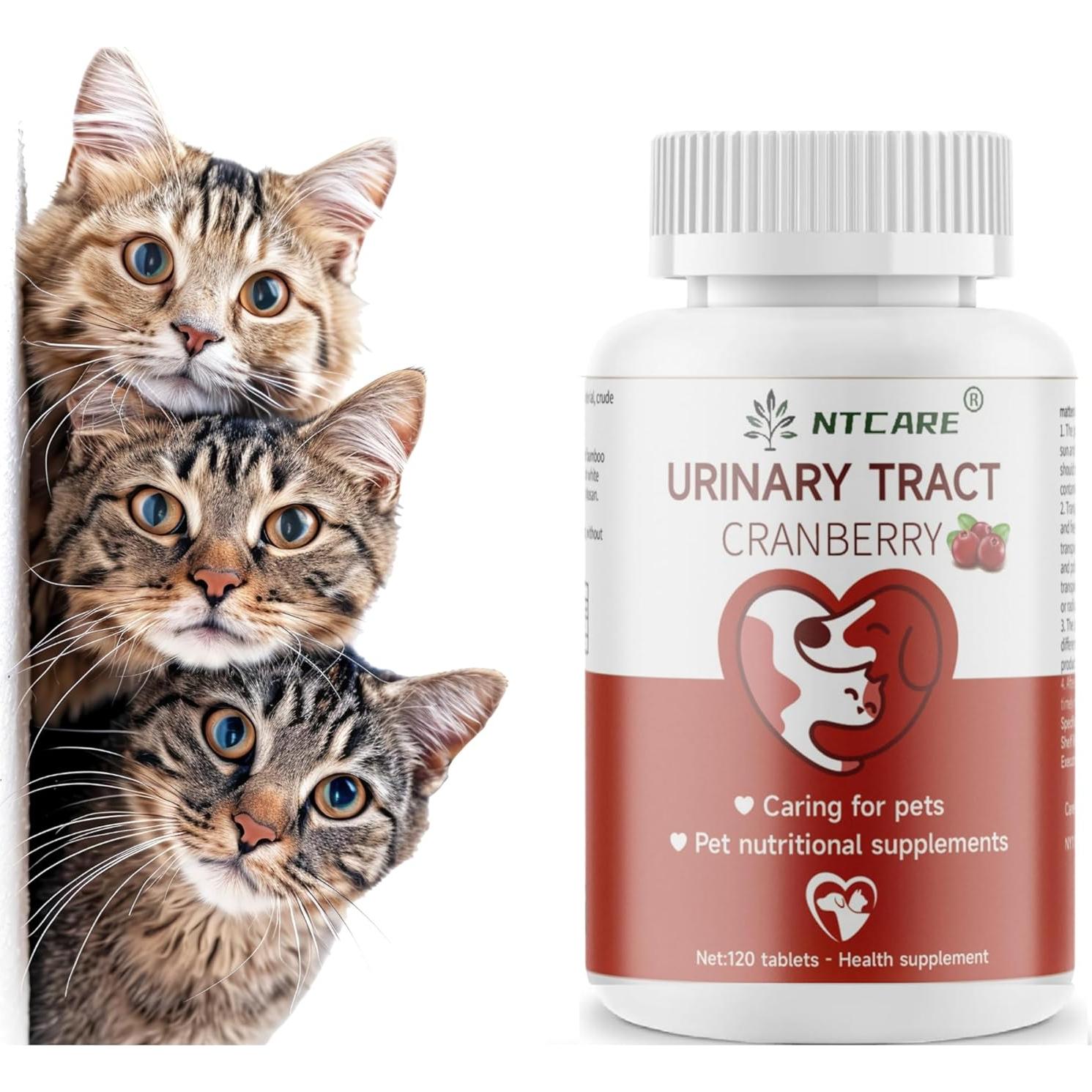 Suplemento Arándano para Perros y Gatos NTCARE 120 Tabletas