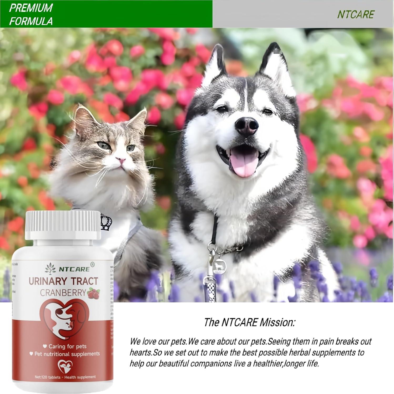 Suplemento Arándano para Perros y Gatos NTCARE 120 Tabletas