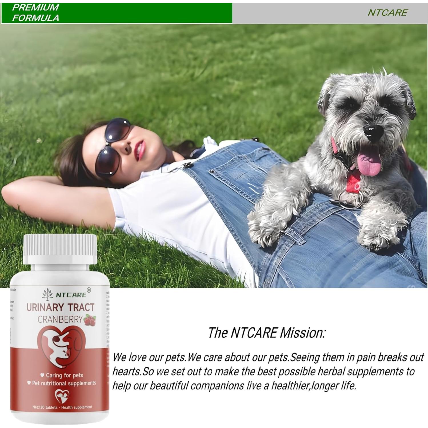 Suplemento Arándano para Perros y Gatos NTCARE 120 Tabletas