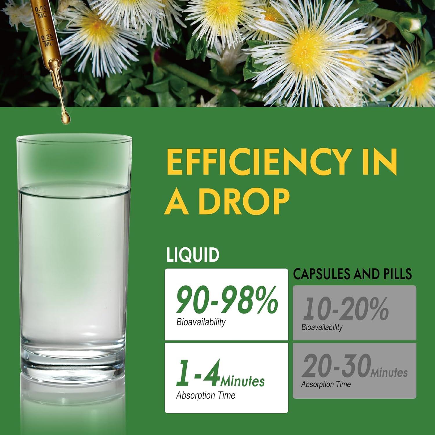 Extracto de Kanna 60ml - Suplemento Herbal Relajante y Energizante