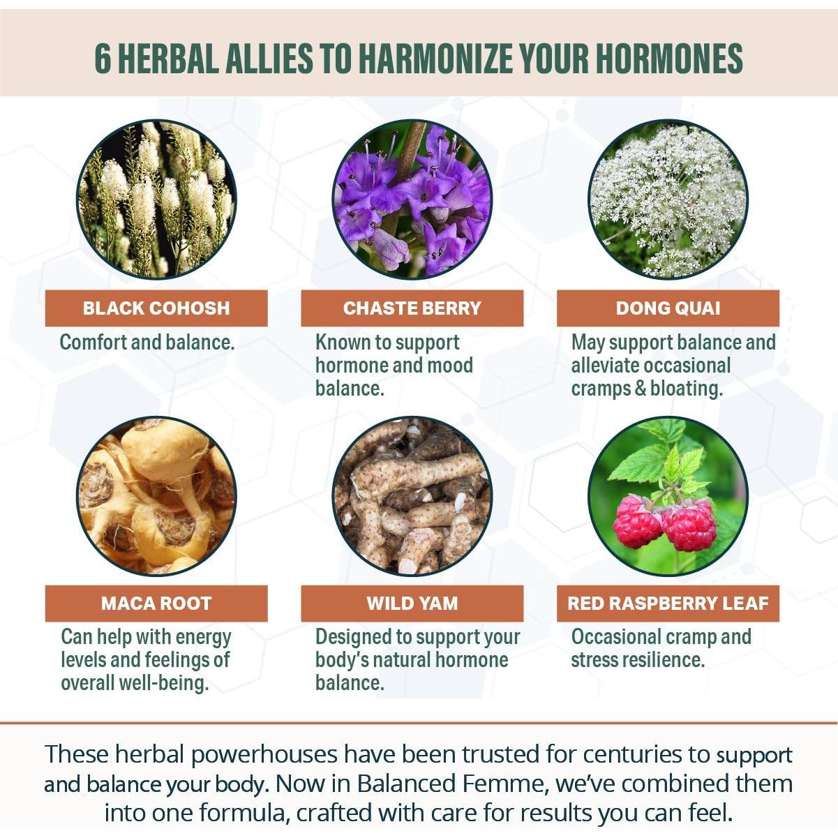 Suplemento Líquido Rejuvica Health Balanced Femme 132g