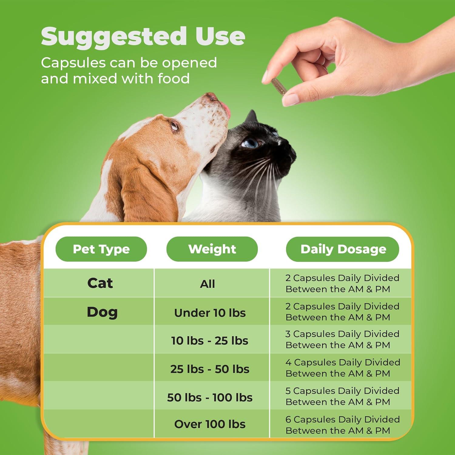 Suplemento Renal Only Natural Pet 90 Cápsulas para Mascotas