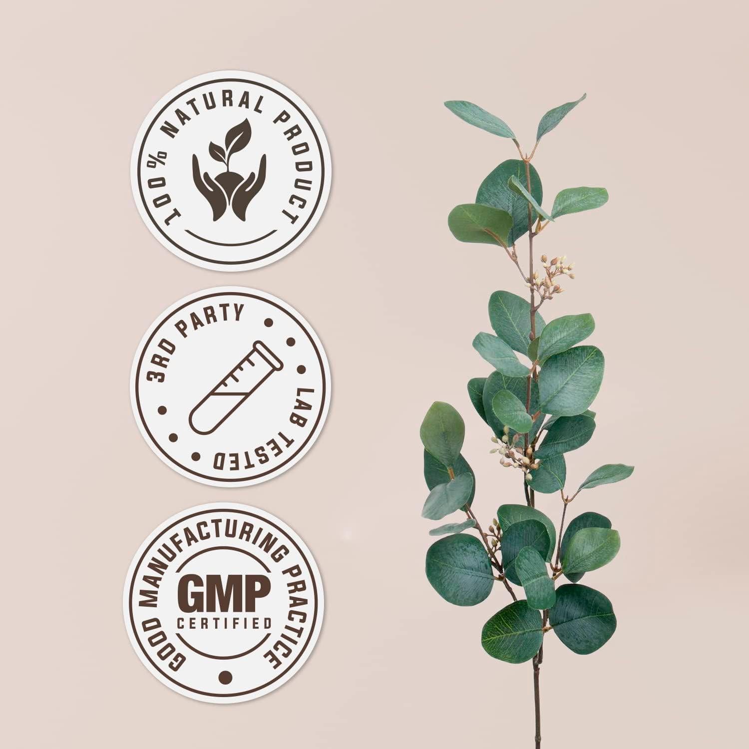 Ginkgo Biloba Orgánico USDA 120 Cápsulas Vegetarianas