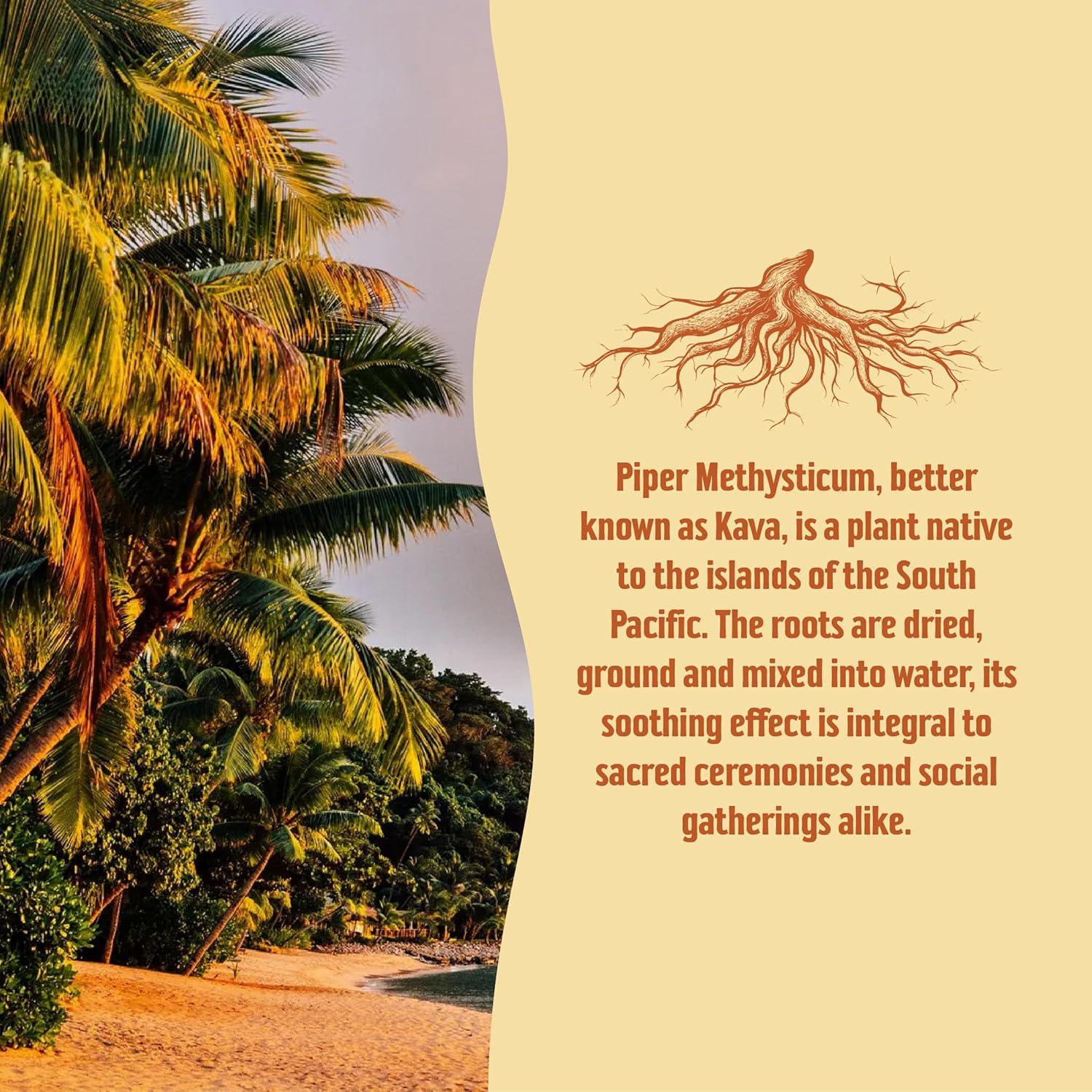 Taki Mai Kava Kava Chocolate Banana 24 Shots 70.87 g