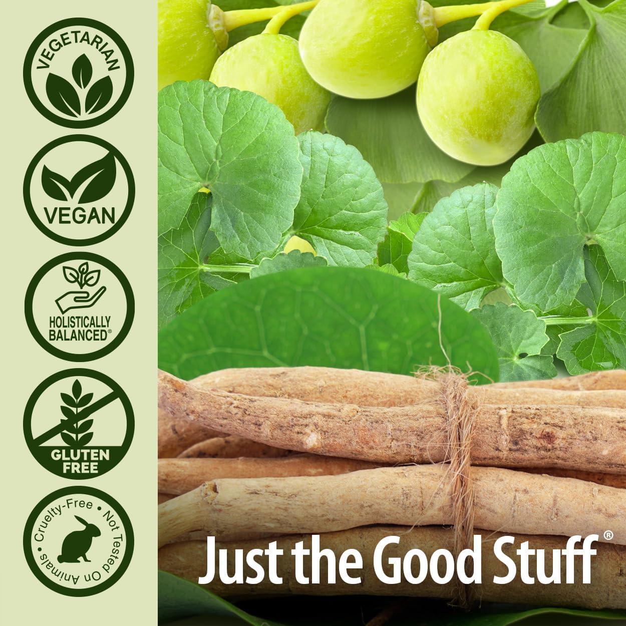 Cápsulas Veganas Brainstorm 2 Nature's Answer 90 Unidades