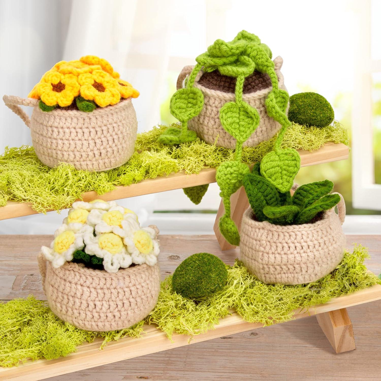 Kit de Crochet Karsspor para Principiantes - 4 Plantas Colgantes