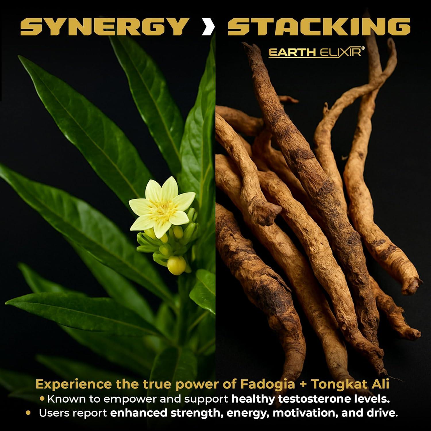 Suplemento Natural de Testosterona Earth Elixir 600mg Fadogia 500mg Tongkat Ali