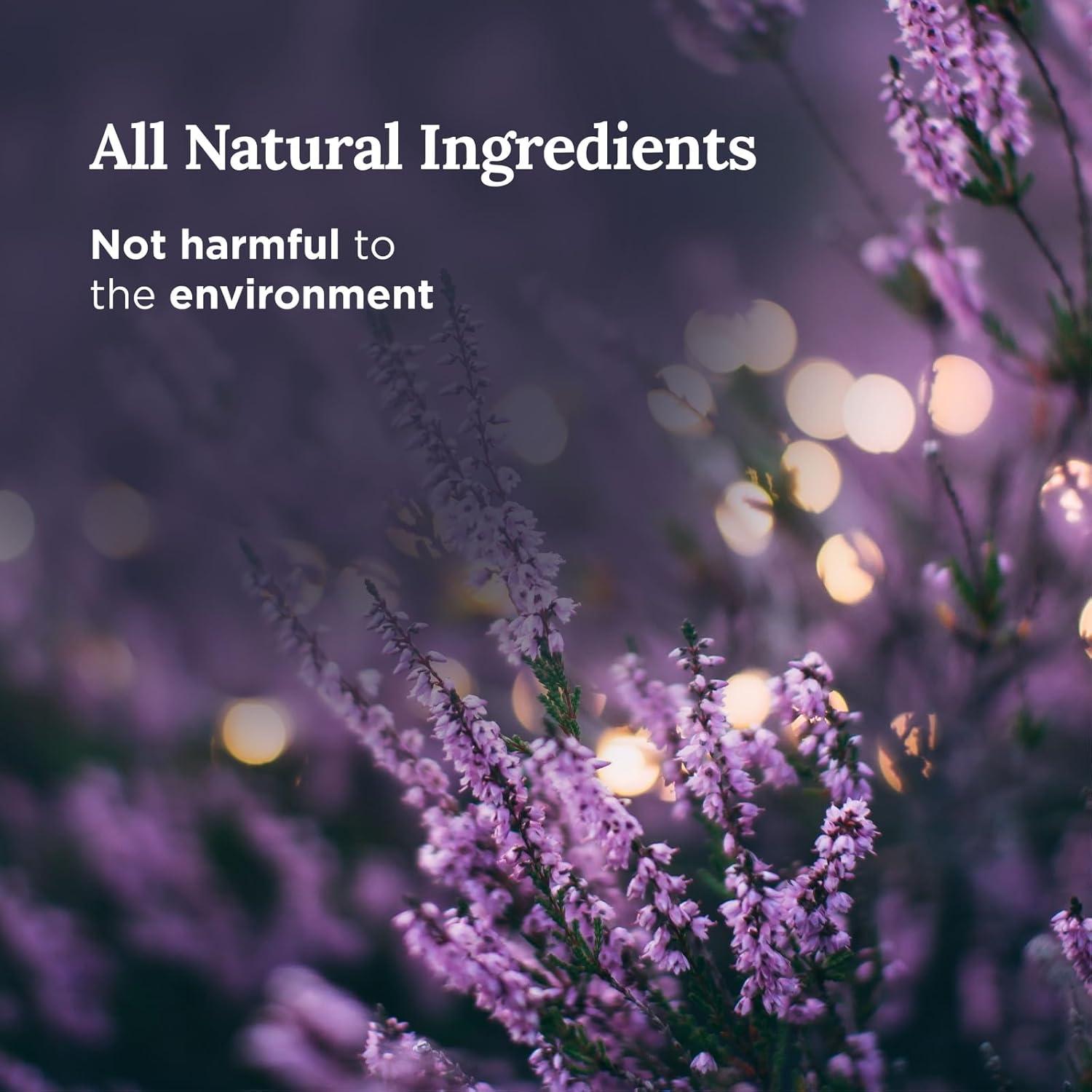 Juego de Velas de Soja Natural Magnífico 101 - Salvia y Lavanda, 3 Piezas