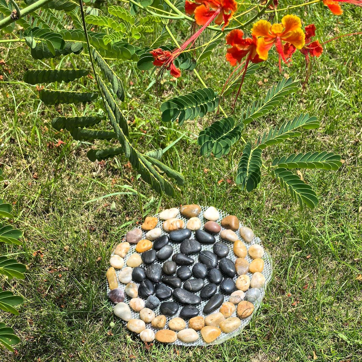 Piedras de Jardín Antideslizantes Yuanzhihang - 6 Piezas 25.4cm