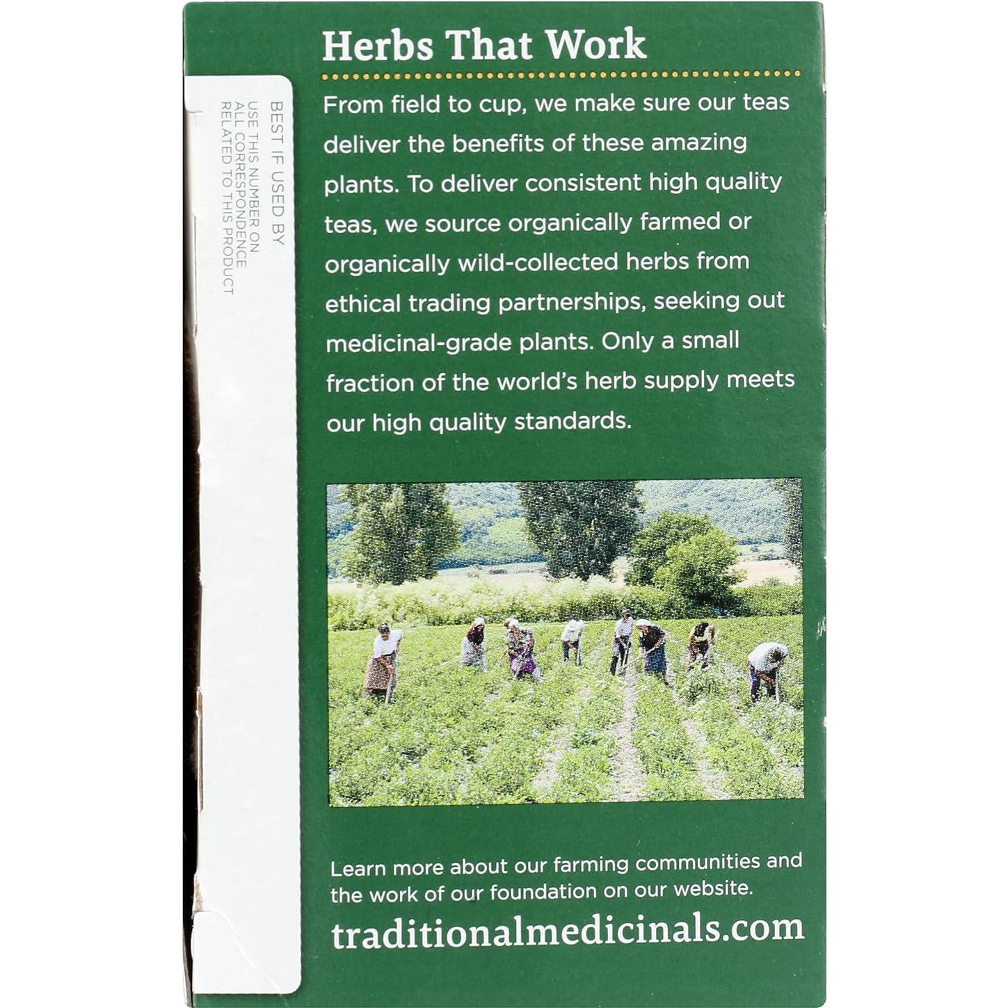 Té Orgánico de Hongo Reishi Medicinales Tradicionales 16 Cuentos