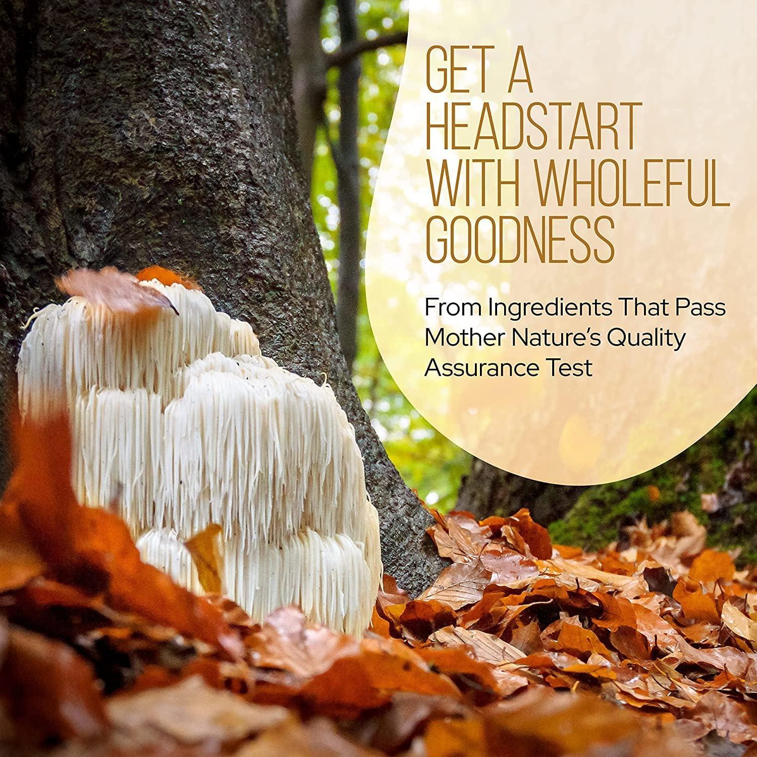 Polvo de Champiñón Orgánico USDA LRLA 85 g - 7 Variedades