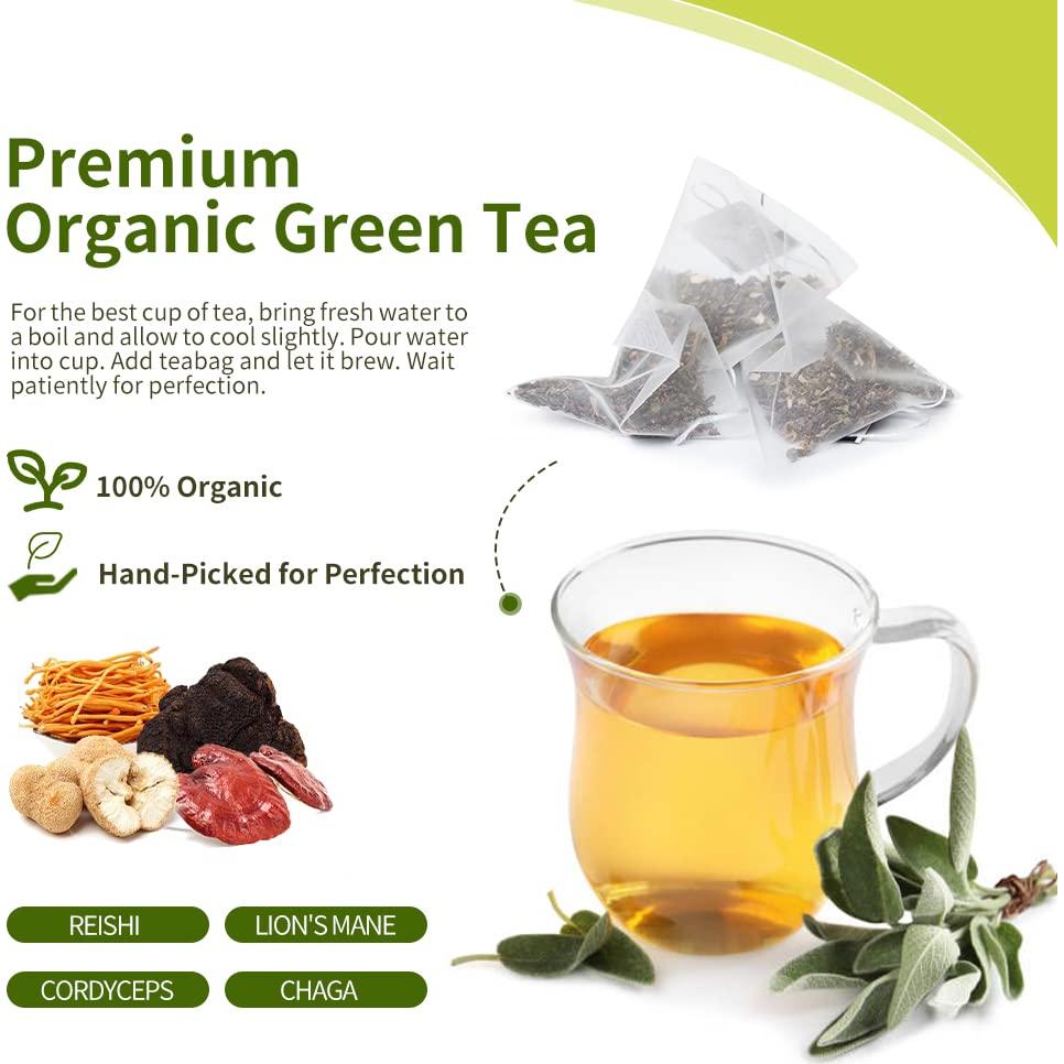 Té Verde de Hongo WL Tesoro Herbal con Melena de León 52g