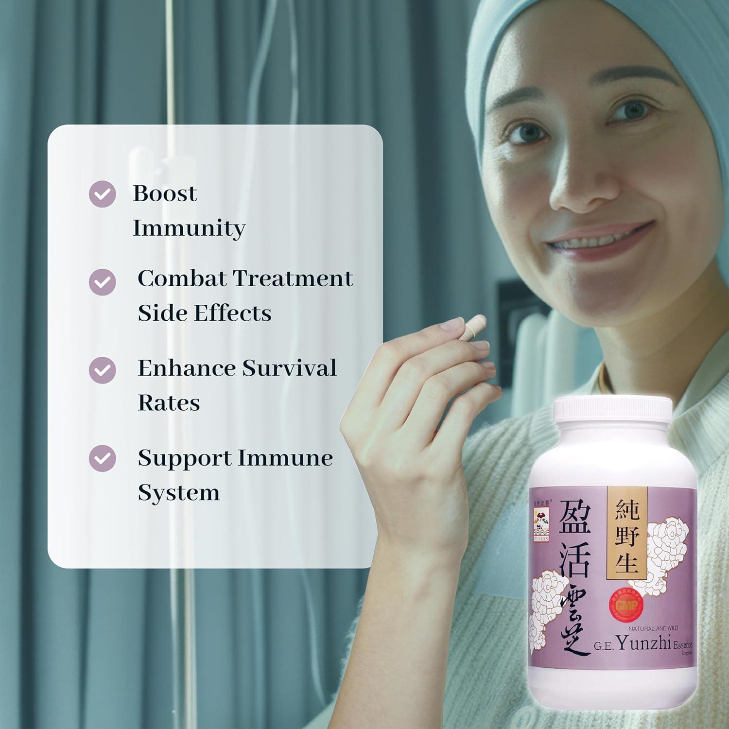 Cápsulas de Hongo Cola de Pavo Vita Green 360 Unidades