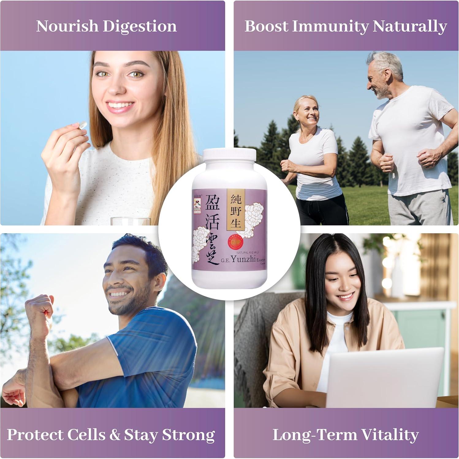 Cápsulas de Hongo Cola de Pavo Vita Green 360 Unidades