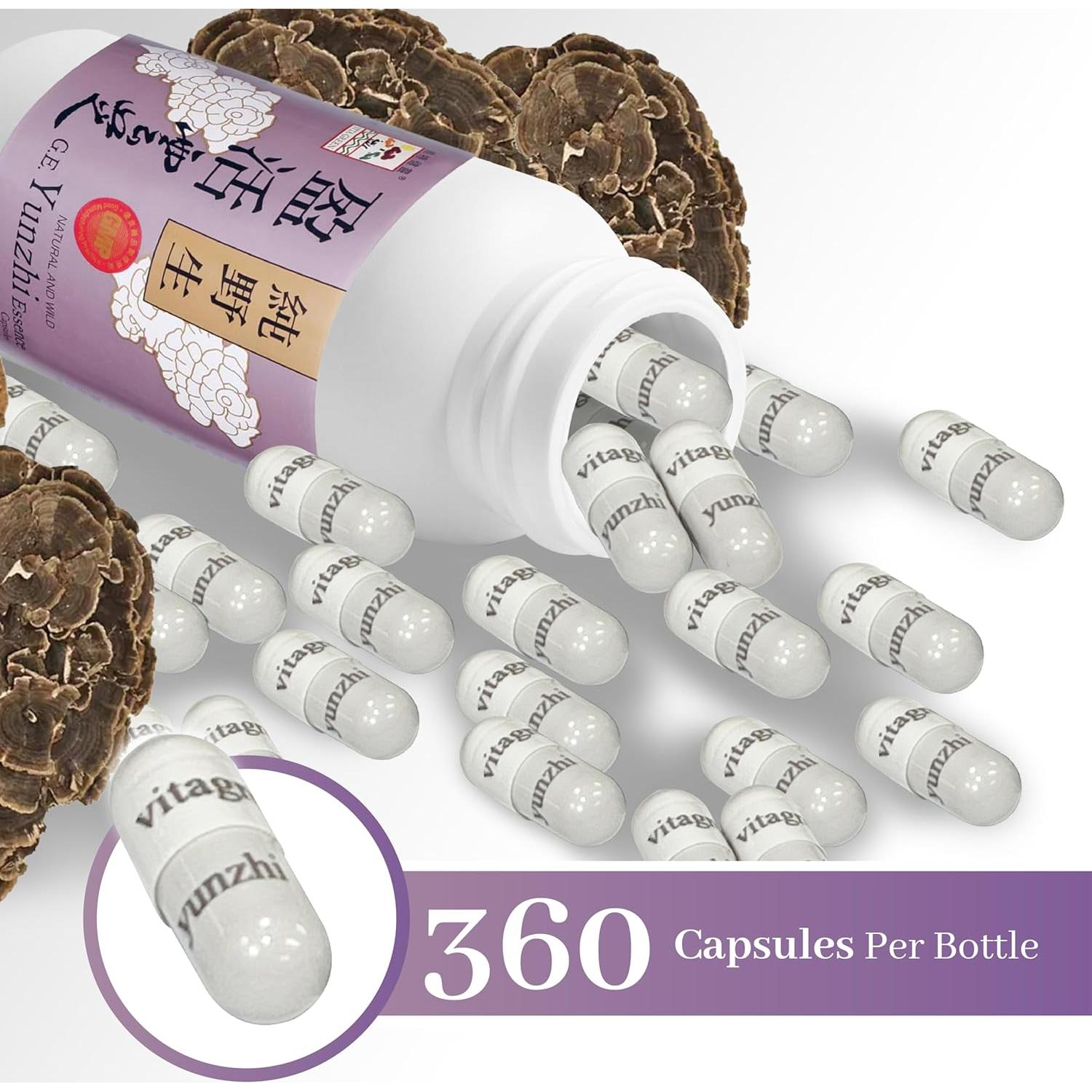 Cápsulas de Hongo Cola de Pavo Vita Green 360 Unidades