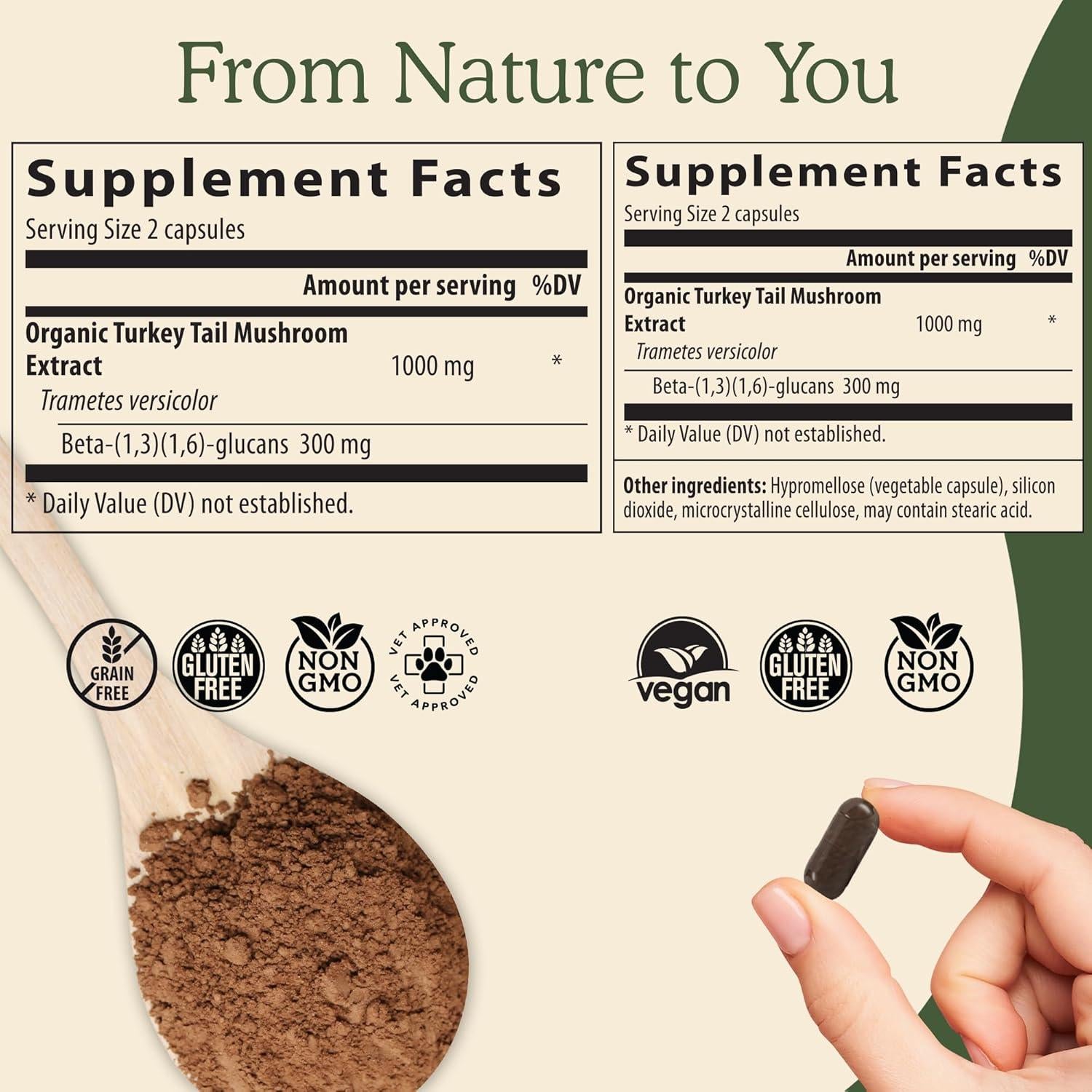 Suplemento de Hongos Reales: Reishi, Cola de Pavo y Chaga 90-120 cápsulas