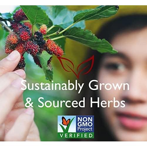 Té Herbal Bravo Tea Hongo Reishi Sin Cafeína 20 Bolsitas