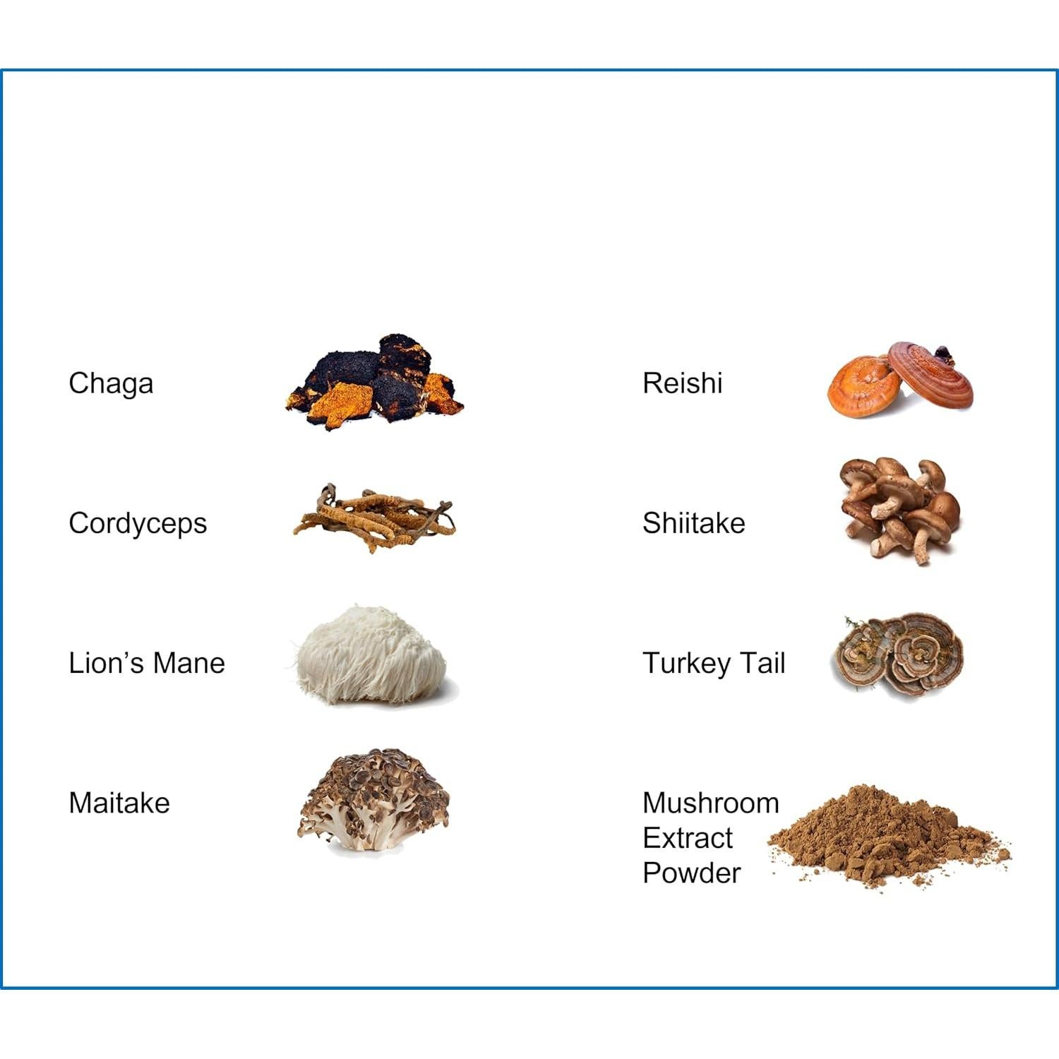 Polvo de Hongos Orgánicos Jetsu Pure 7 - 230g Inmunidad y Enfoque
