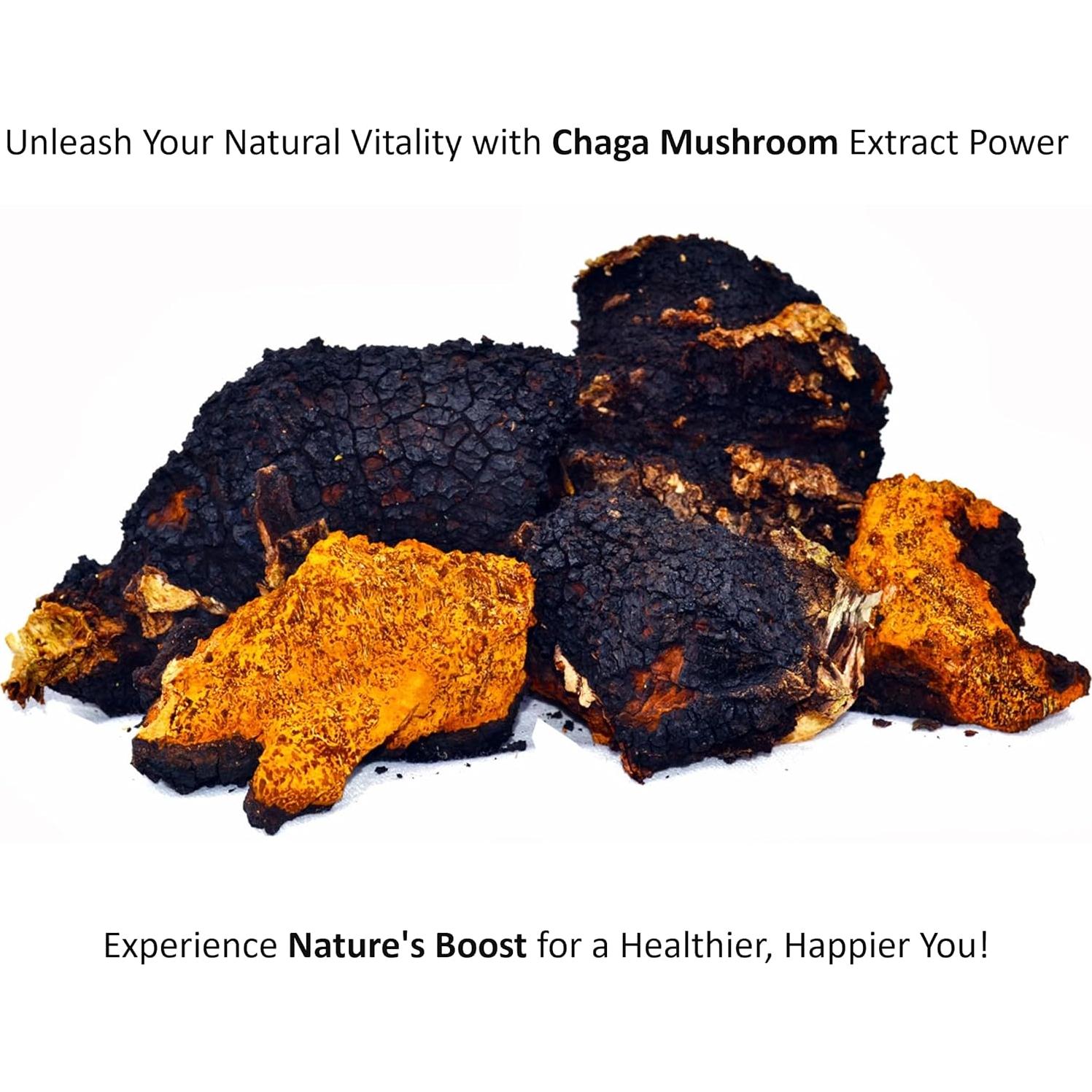 Polvo de Hongos Orgánicos Jetsu Pure 7 - 230g Inmunidad y Enfoque