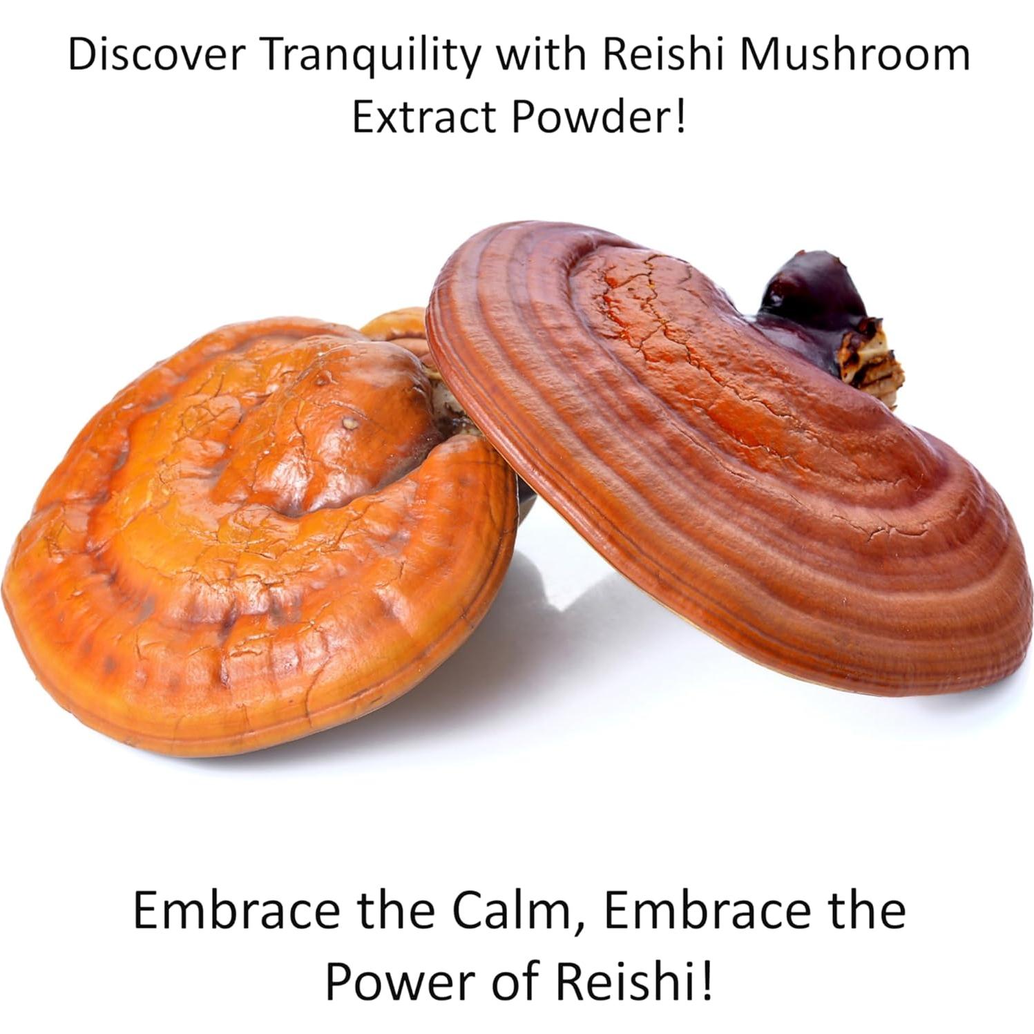 Polvo de Hongos Orgánicos Jetsu Pure 7 - 230g Inmunidad y Enfoque