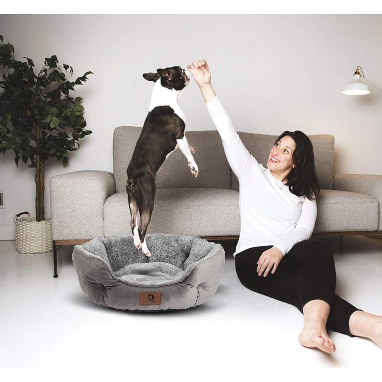 Cama Mediana Asvin para Perros y Gatos Gris 63,5 cm