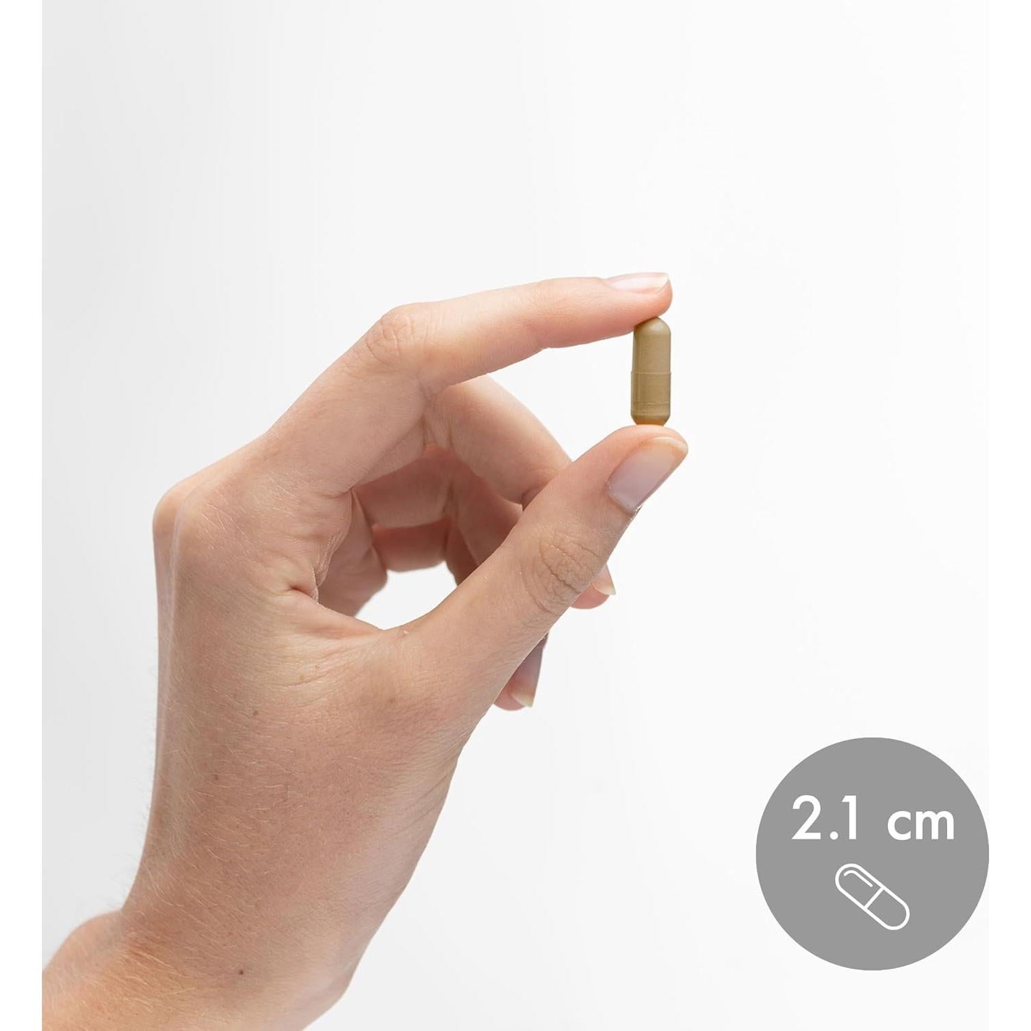 Extracto de Hongo Reishi Orgánico Dr. Mercola - 30 Cápsulas