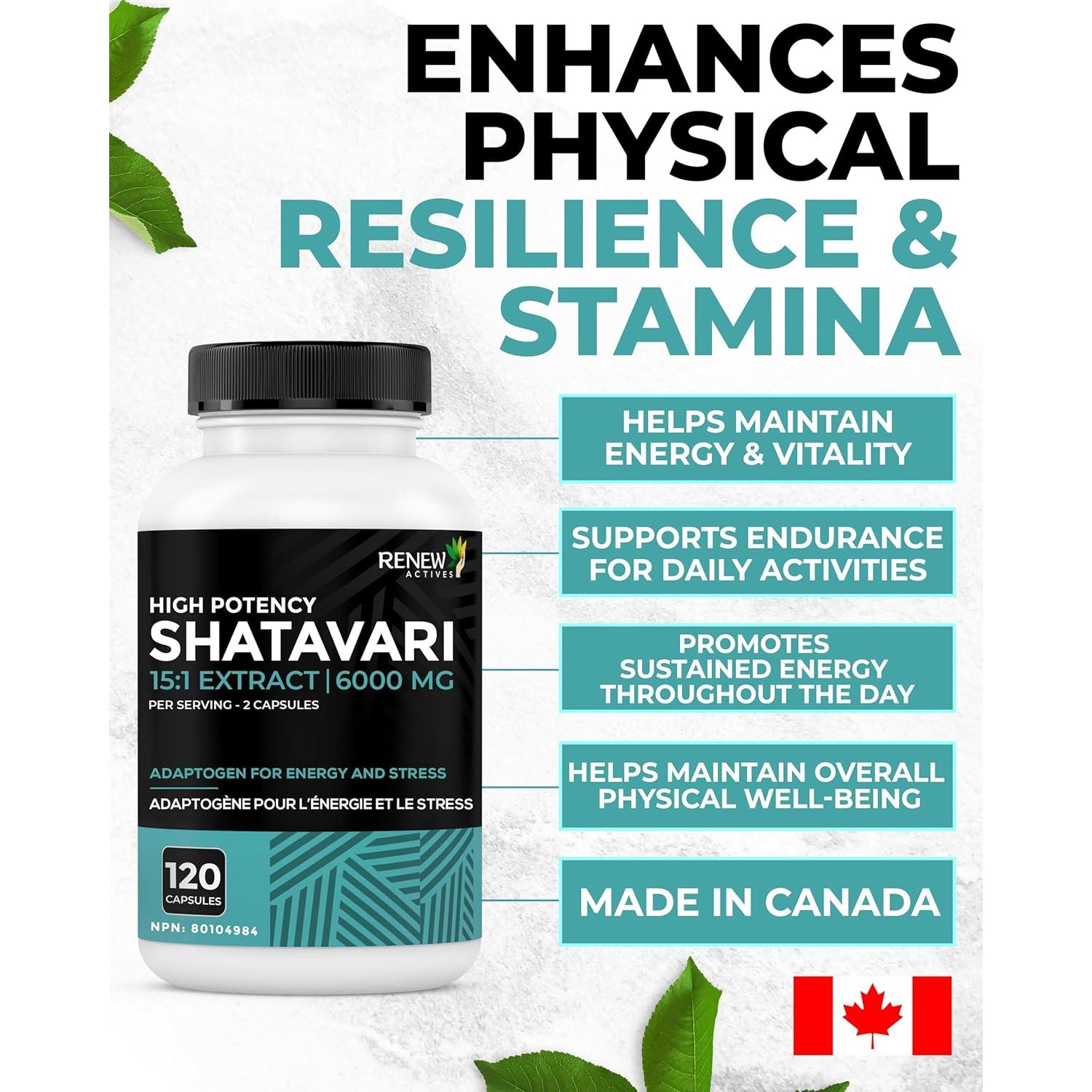 Cápsulas de Shatavari Renew Actives - 400mg - 120 Unidades