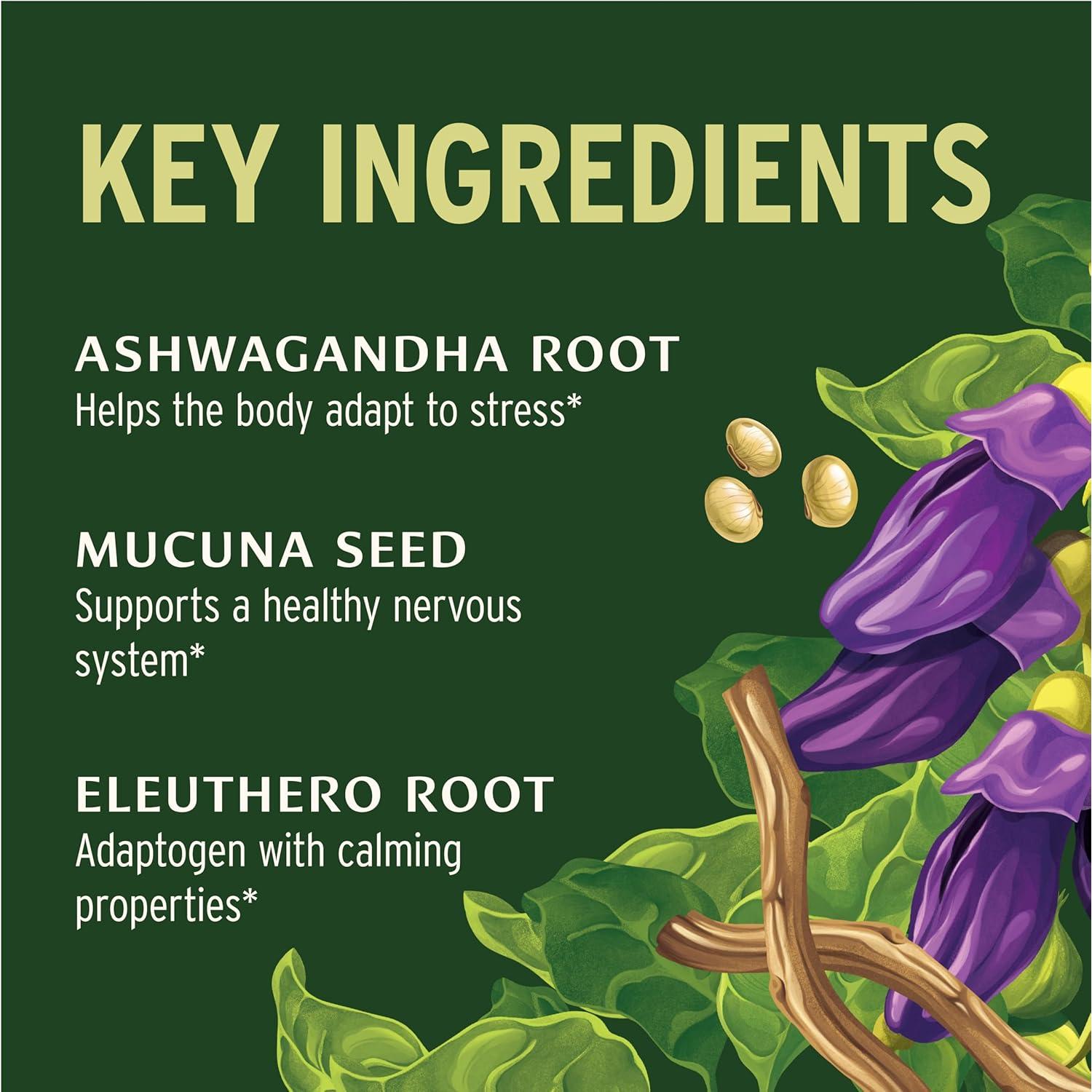 Suplemento Adaptógeno Orgánico Banyan Botanicals 90 Tabletas