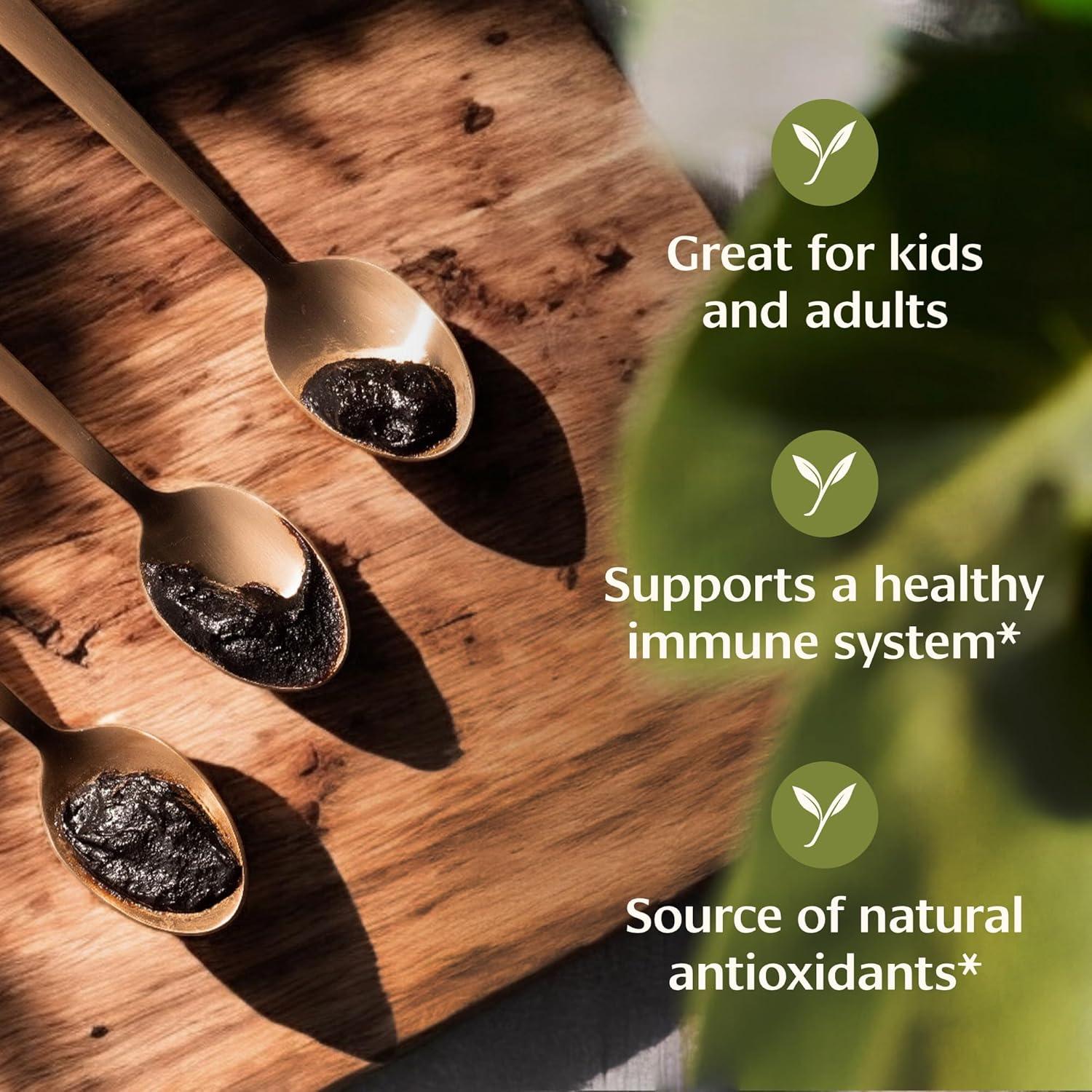 Chyavanprash Banyan Botanicals 478 g - Mermelada Herbal Orgánica