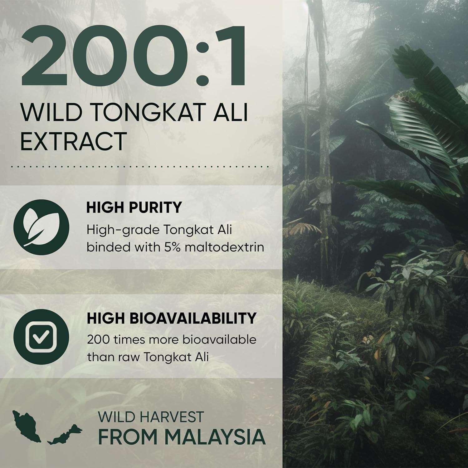 Tongkat Ali en Polvo Eurycoma Longifolia 142g - 200:1 Extracto