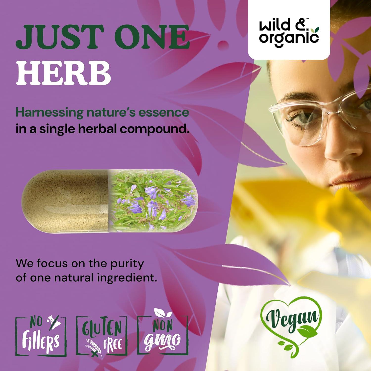 Cápsulas de Hierba Skullcap Silvestre 1200 mg - 120 Unidades - Vegano