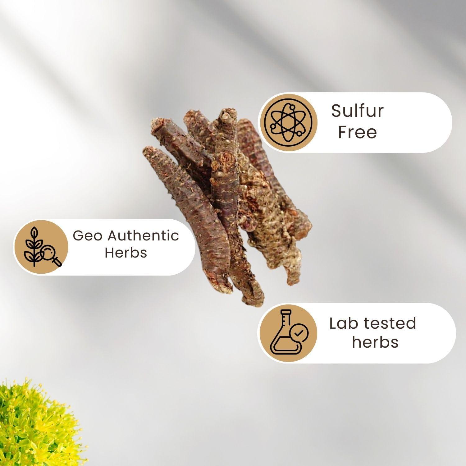 Raíz Dorada Rhodiola Rosea 0.45 kg Plum Dragon Herbs