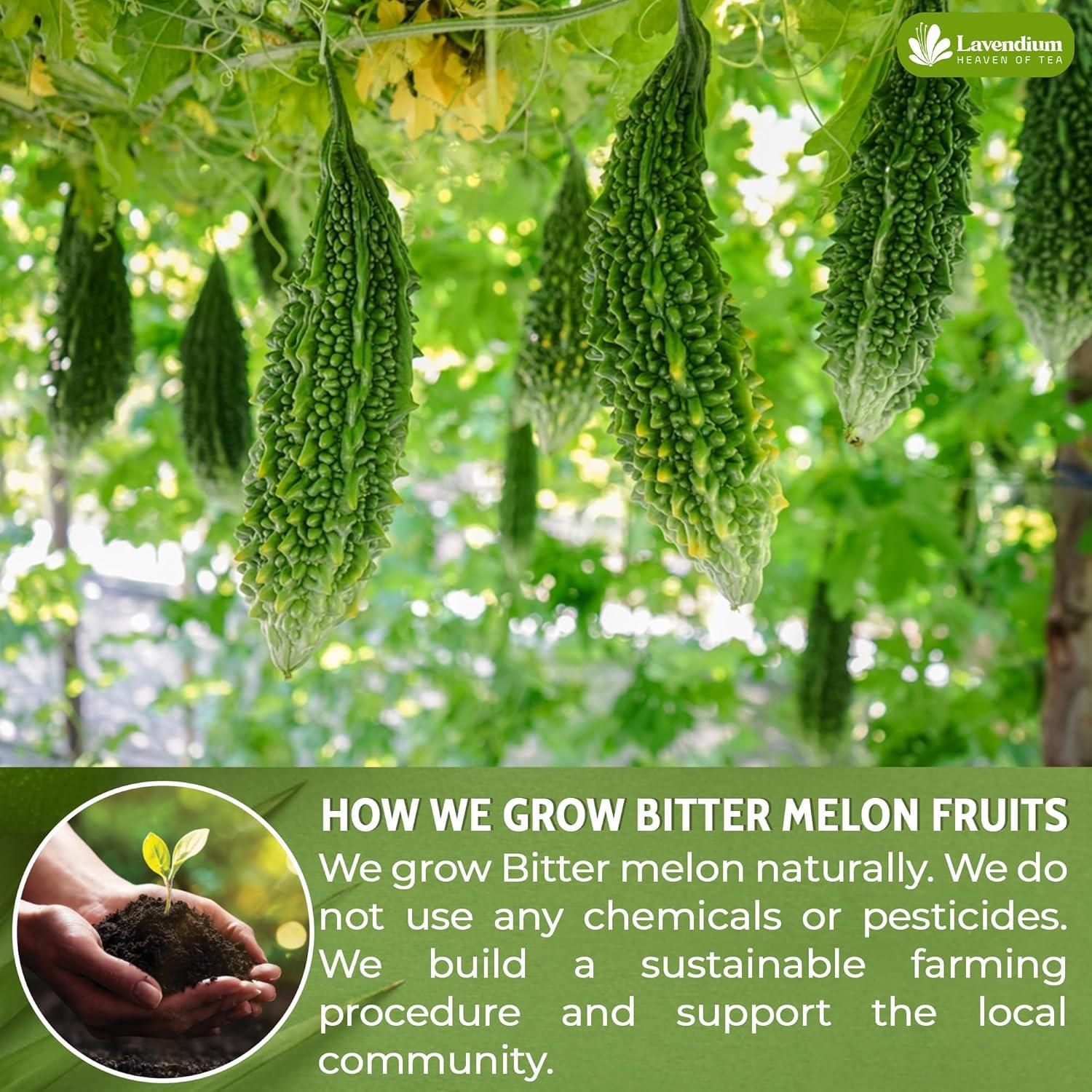 Té de Fruta de Melón Amargo Lavendium 120 Bolsitas 100% Natural