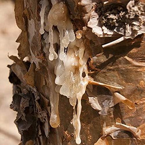 Lágrimas de Incienso Natural Boswellia carteri 226.8 g