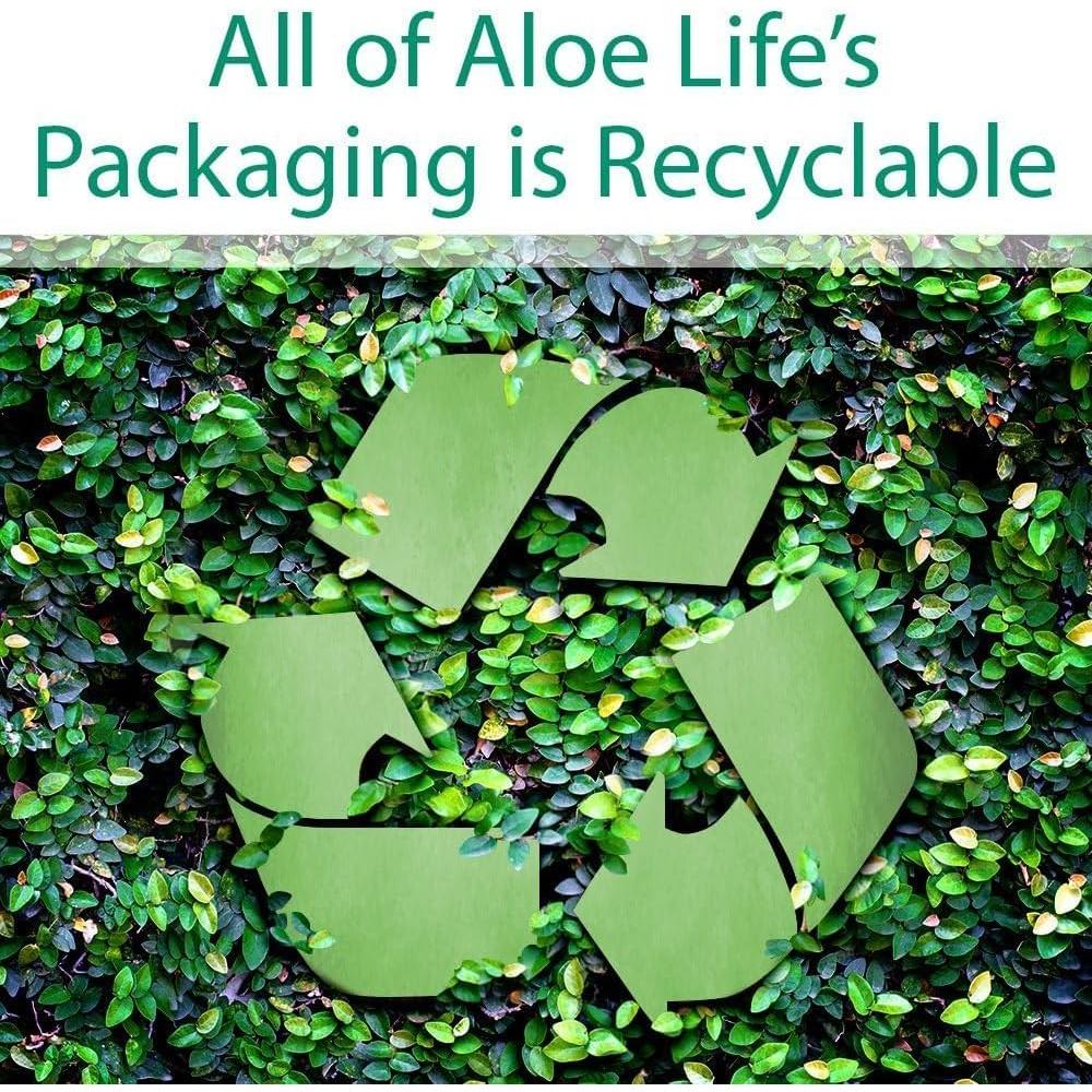 Jugo de Aloe Vera Orgánico Aloe Life 473 ml Sabor Papaya Naranja